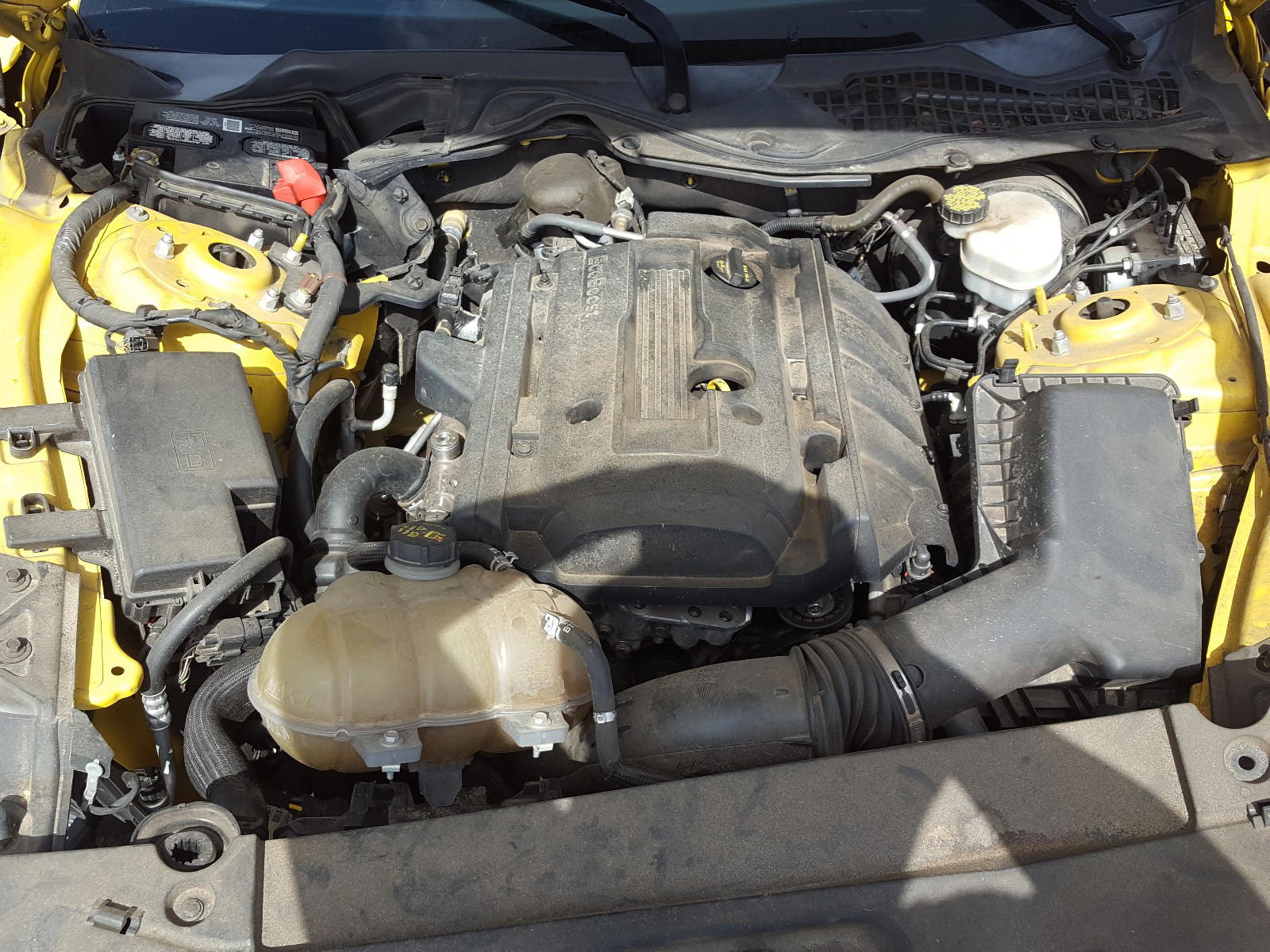 Photo 7 from auction – 2015 FORD MUSTANG with VIN 1FA6P8TH6F5336162