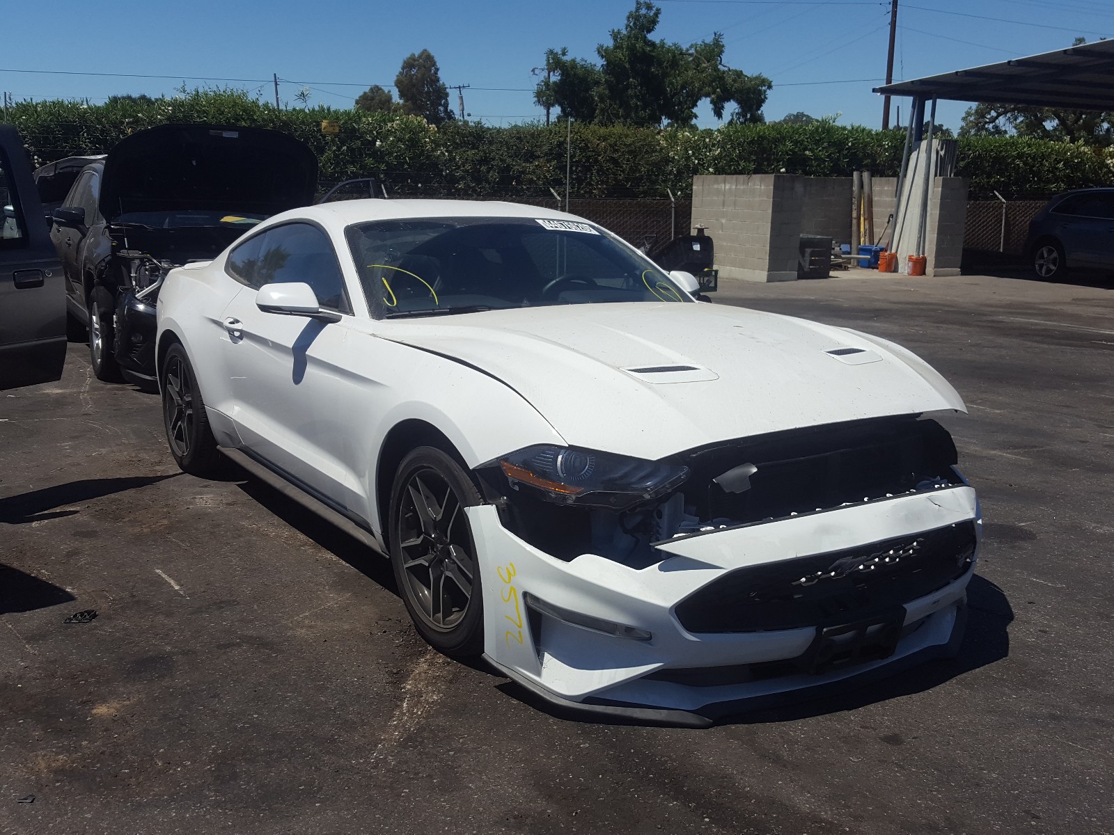 FORD MUSTANG 2020 with VIN 1FA6P8TH1L5136544 - Photo from auction