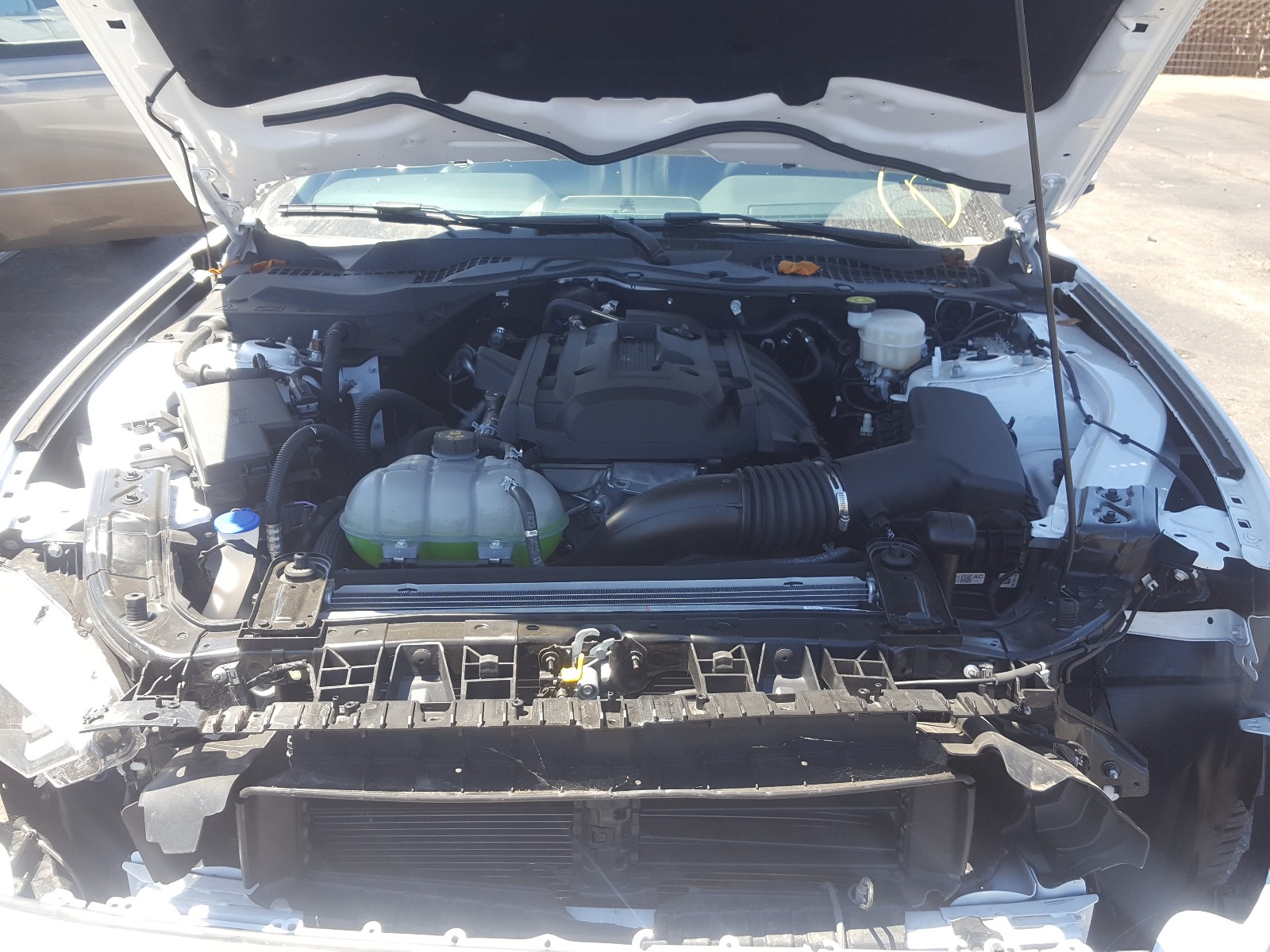 Photo 7 from auction – 2020 FORD MUSTANG with VIN 1FA6P8TH1L5136544