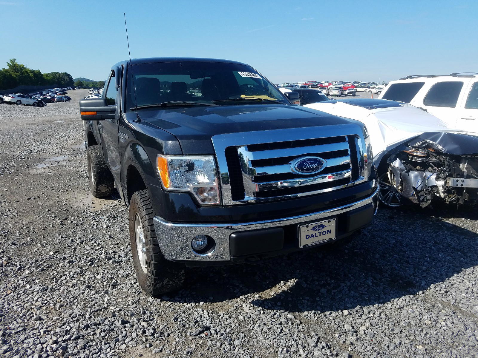 FORD F150 2012 with VIN 1FTMF1EFXCFA98930 - Photo from auction