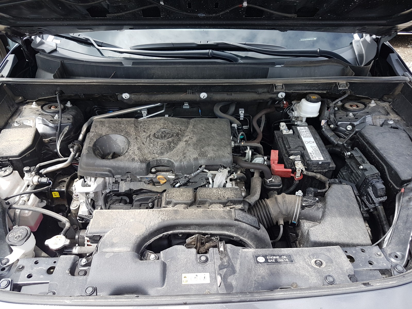 Photo 7 from auction – 2019 TOYOTA RAV4 LE with VIN 2T3H1RFV2KW019512