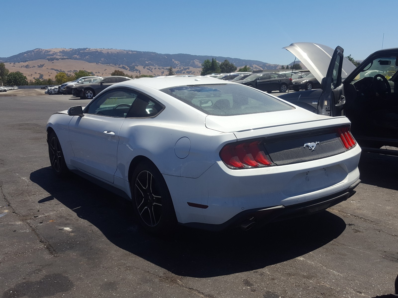 Photo 3 from auction – 2020 FORD MUSTANG with VIN 1FA6P8TH1L5136544