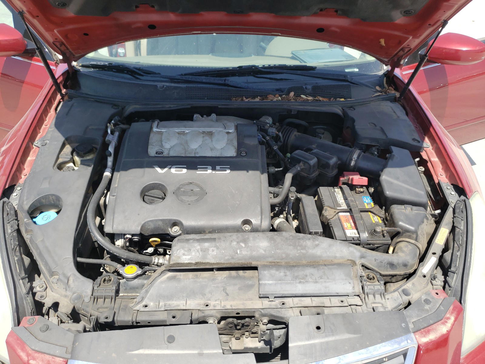 Photo 7 from auction – 2007 NISSAN MAXIMA SE with VIN 1N4BA41EX7C810791