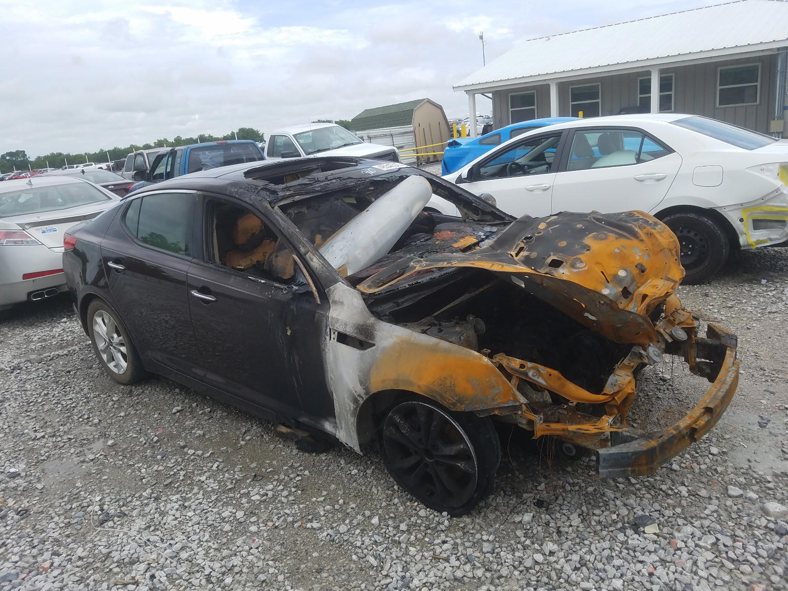 KIA OPTIMA EX 2011 with VIN KNAGN4A76B5191560 - Photo from auction