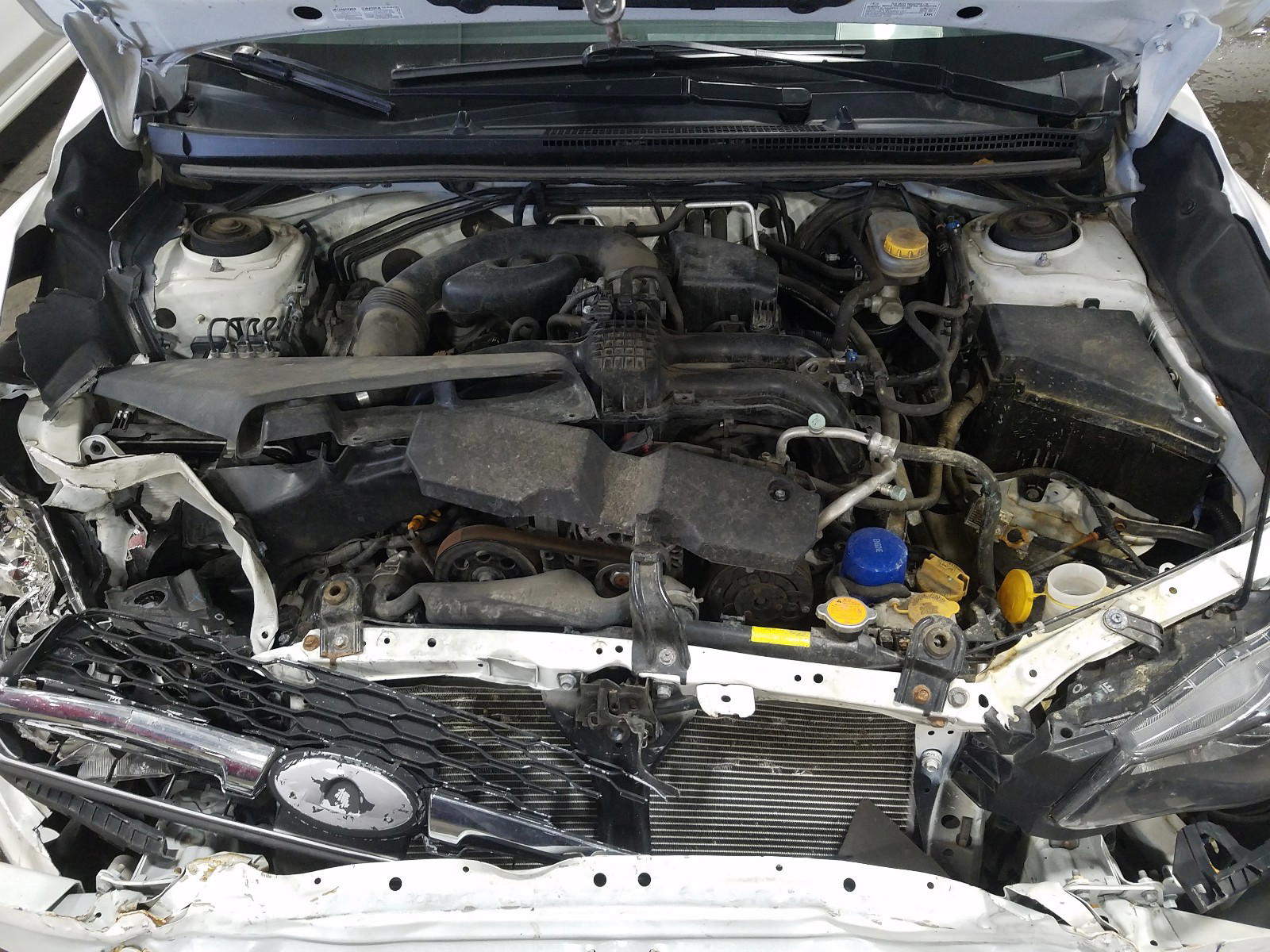 Photo 7 from auction – 2014 SUBARU IMPREZA with VIN JF1GPAA63EG285980