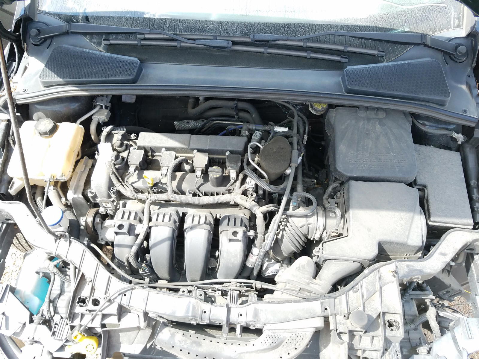 Photo 7 from auction – 2016 FORD FOCUS SE with VIN 1FADP3F29GL285920