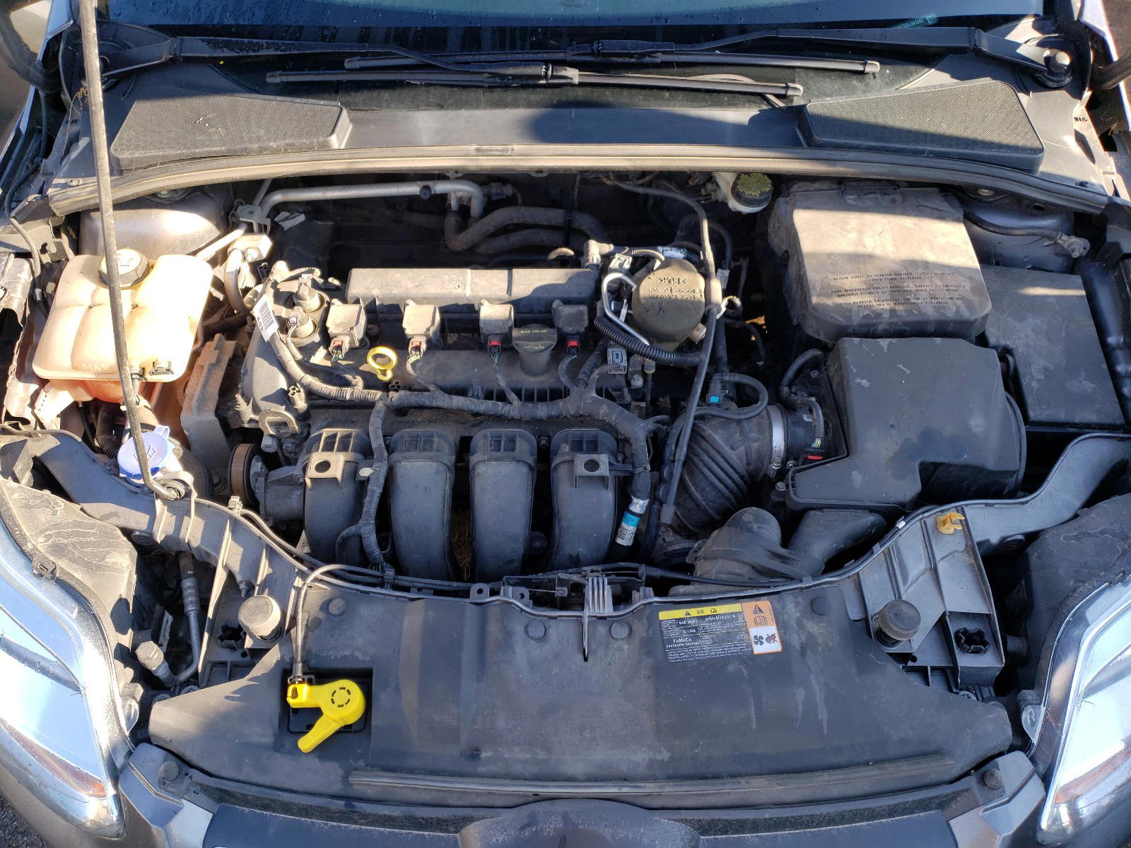 Photo 7 from auction – 2013 FORD FOCUS SE with VIN 1FADP3K29DL341341