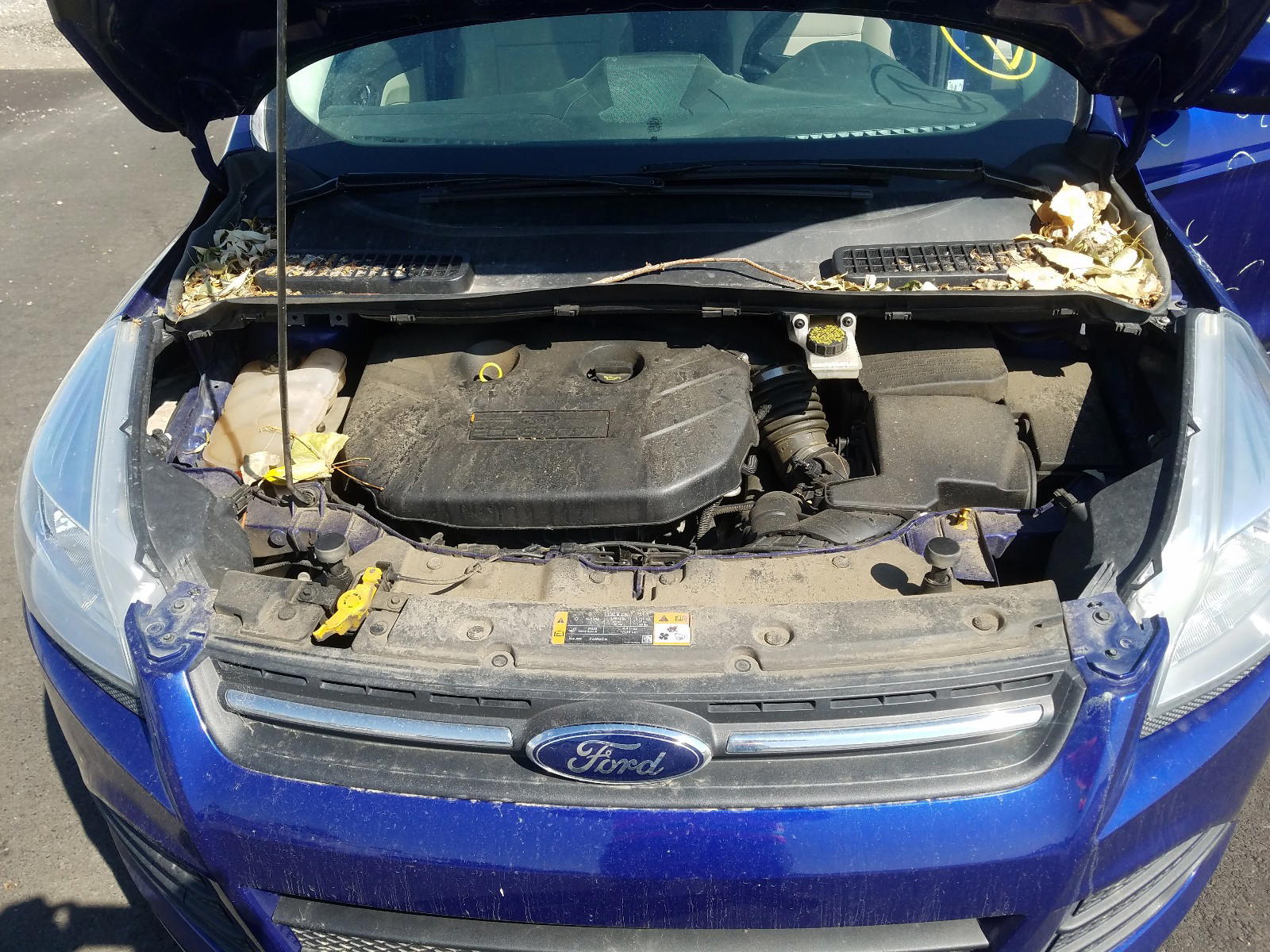 Photo 7 from auction – 2014 FORD ESCAPE SE with VIN 1FMCU9G90EUB97290