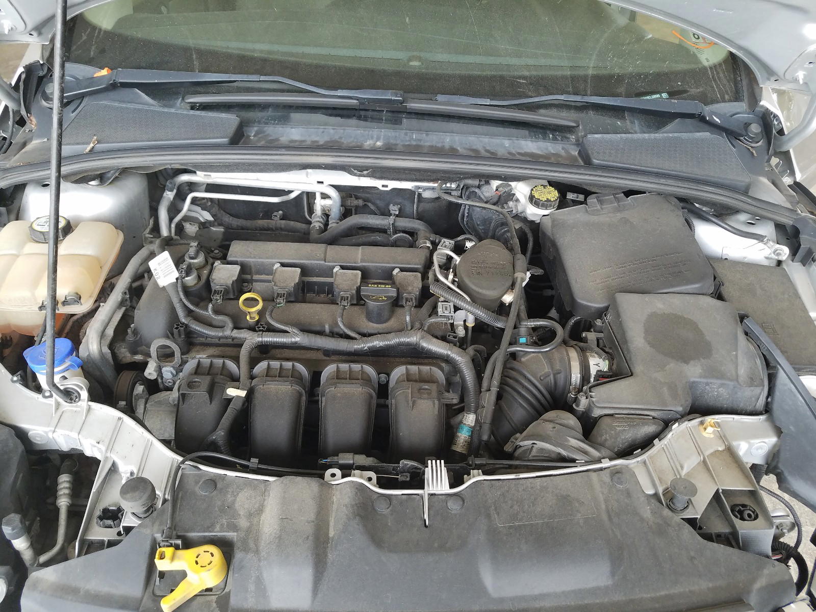 Photo 7 from auction – 2012 FORD FOCUS SEL with VIN 1FAHP3H29CL338589