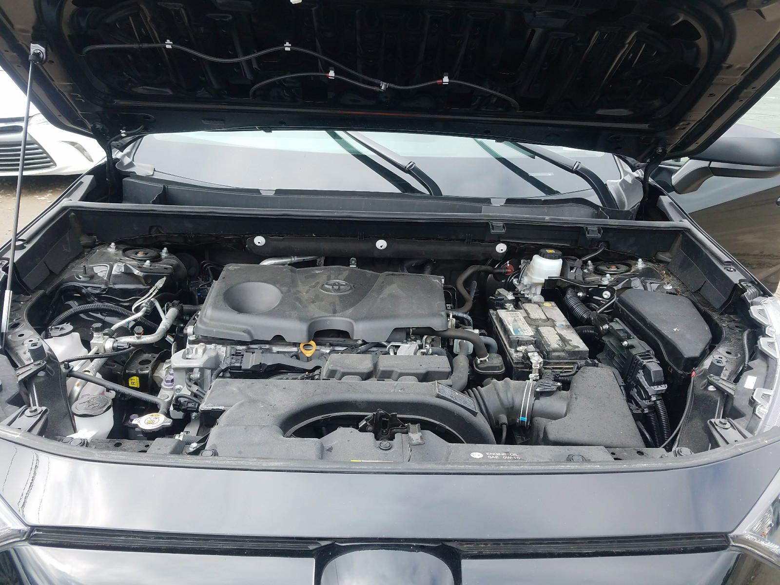 Photo 7 from auction – 2019 TOYOTA RAV4 LE with VIN 2T3F1RFV2KC020376