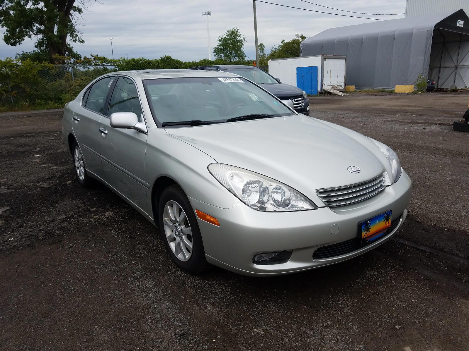 LEXUS ES 330 2004 with VIN JTHBA30G345034588 - Photo from auction