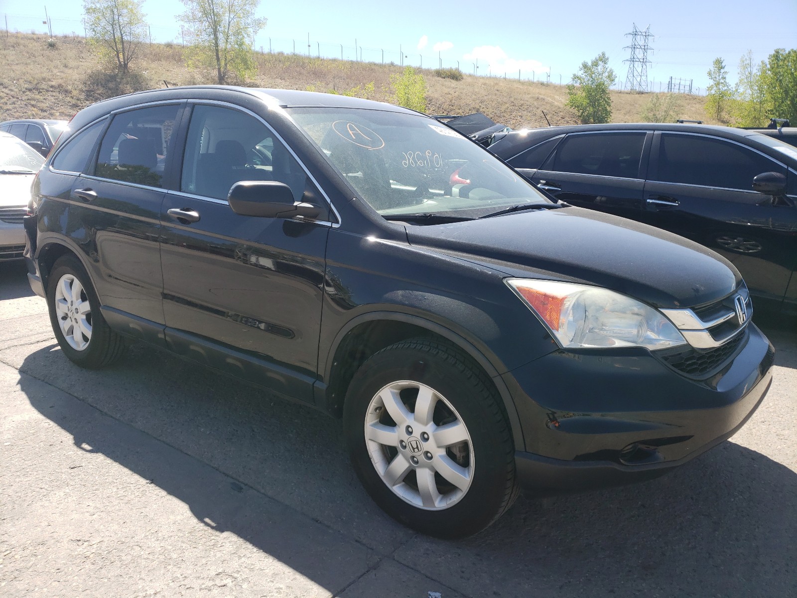 HONDA CR-V SE 2011 with VIN 5J6RE4H42BL103391 - Photo from auction