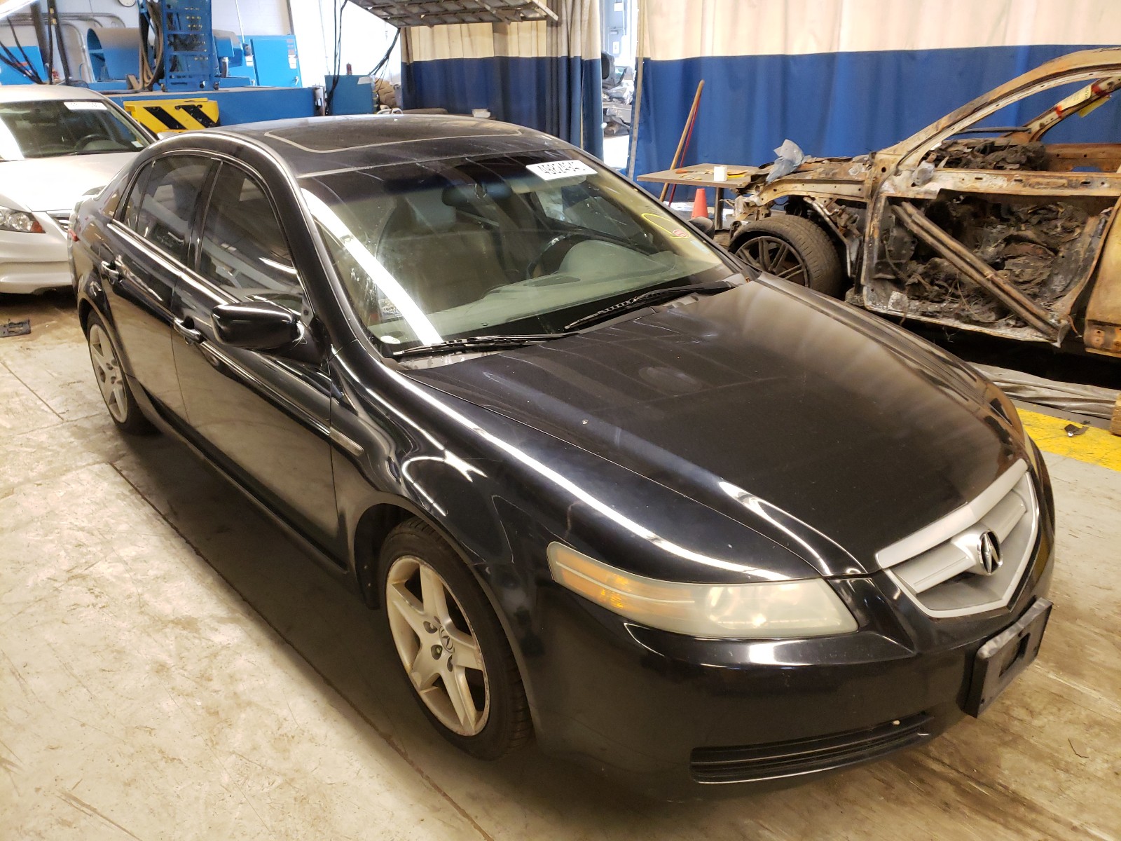 ACURA 3.2TL 2006 with VIN 19UUA66216A067835 - Photo from auction