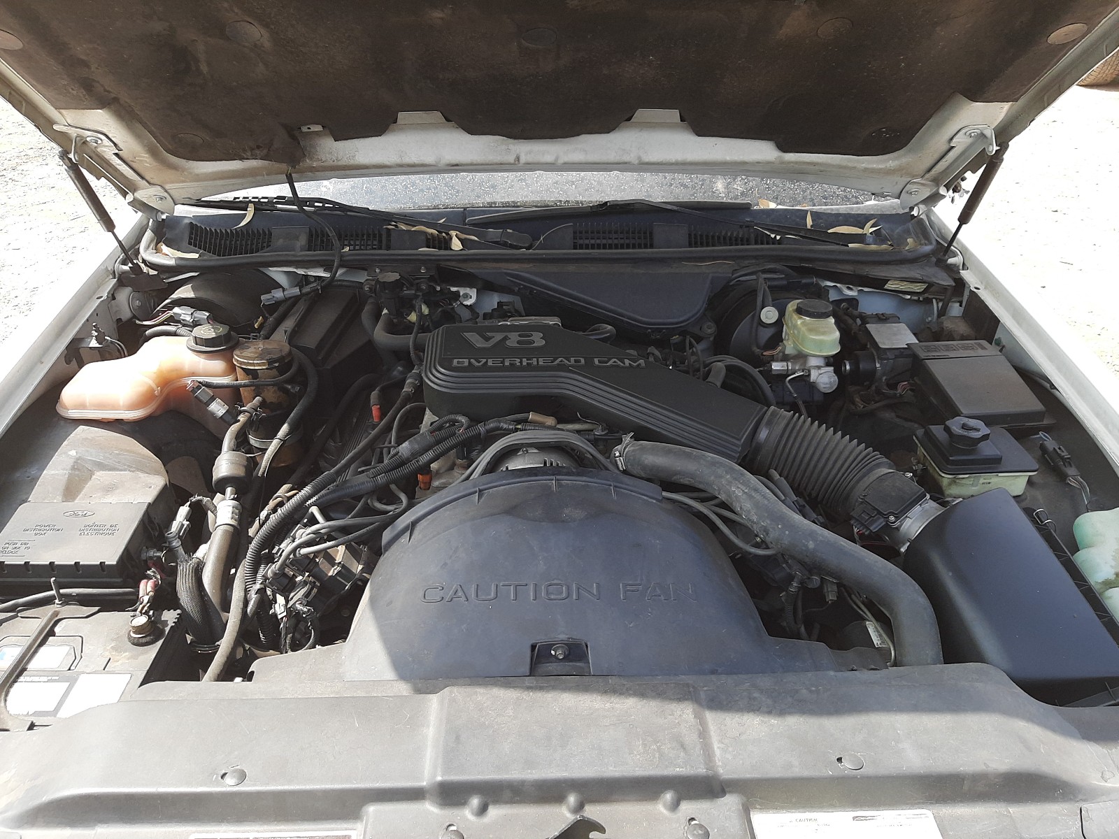 Photo 7 from auction – 1995 LINCOLN TOWN CAR E with VIN 1LNLM81W6SY682658