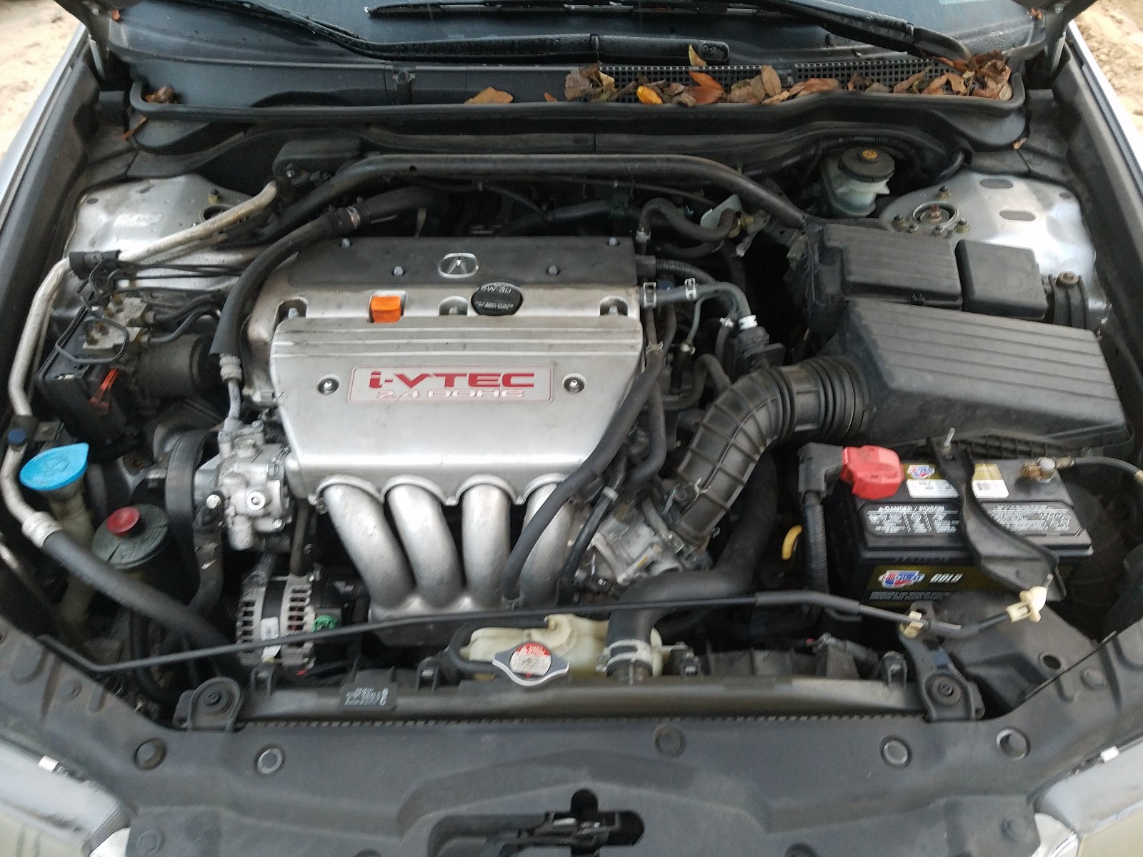 Photo 7 from auction – 2004 ACURA TSX with VIN JH4CL96854C021323