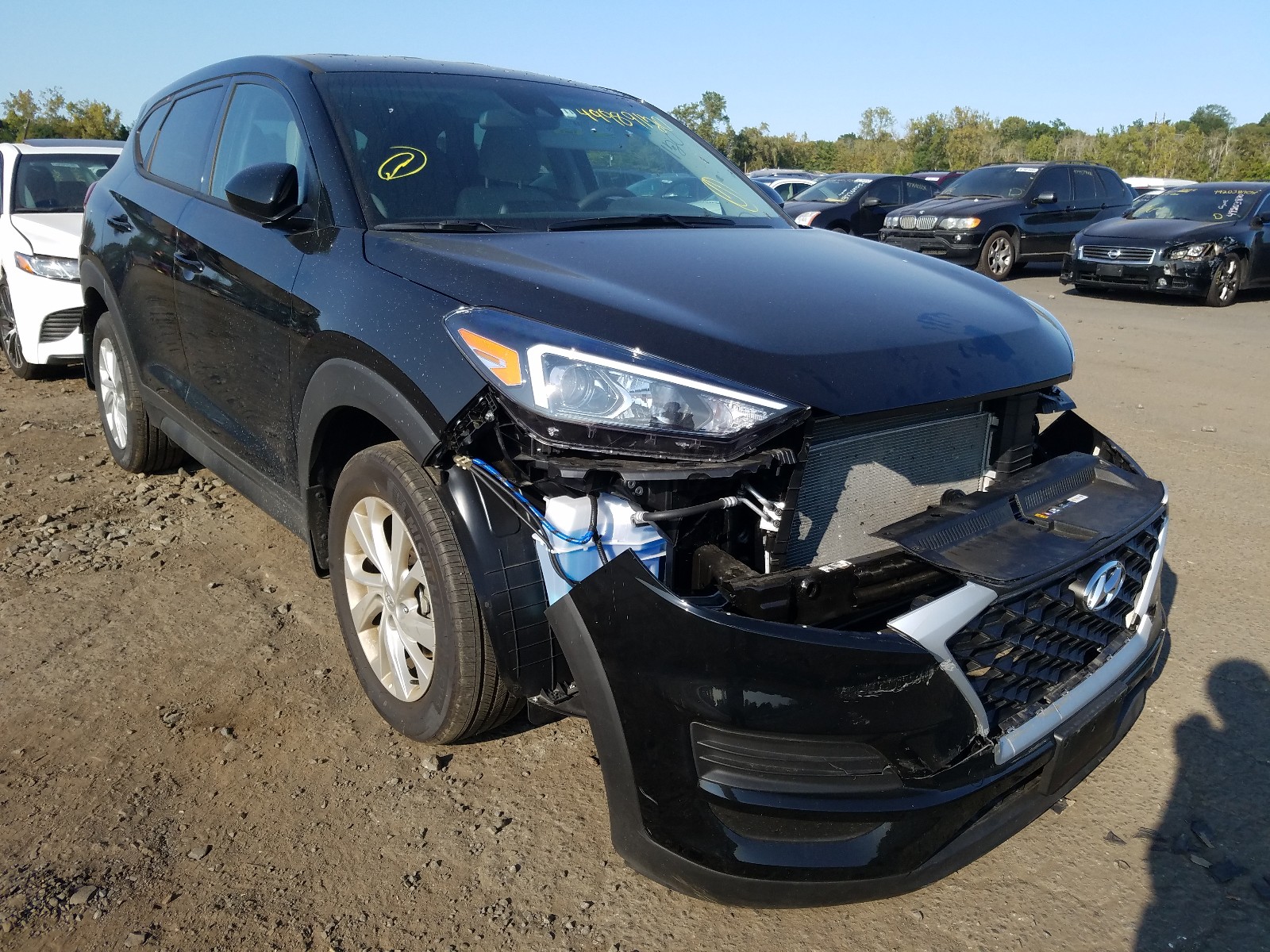 HYUNDAI TUCSON SE 2020 with VIN KM8J2CA45LU156755 - Photo from auction