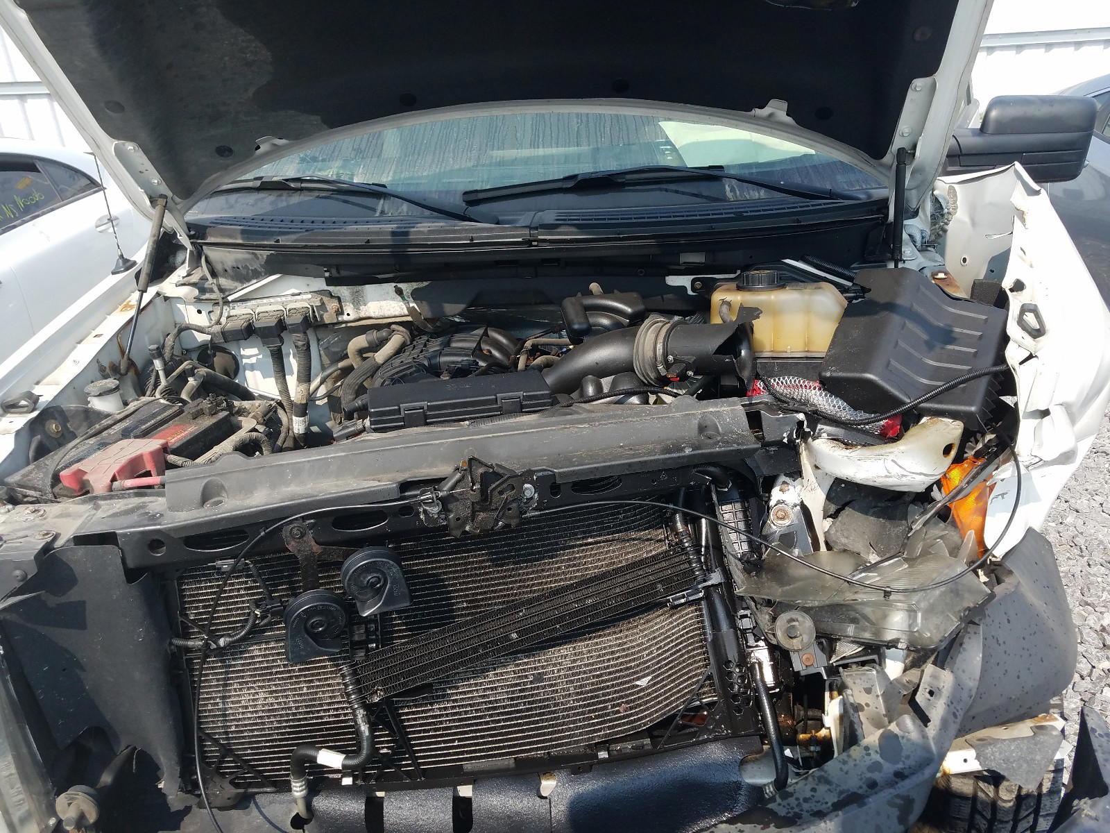 Photo 7 from auction – 2012 FORD F150 SUPER with VIN 1FTEX1EMXCFB88613