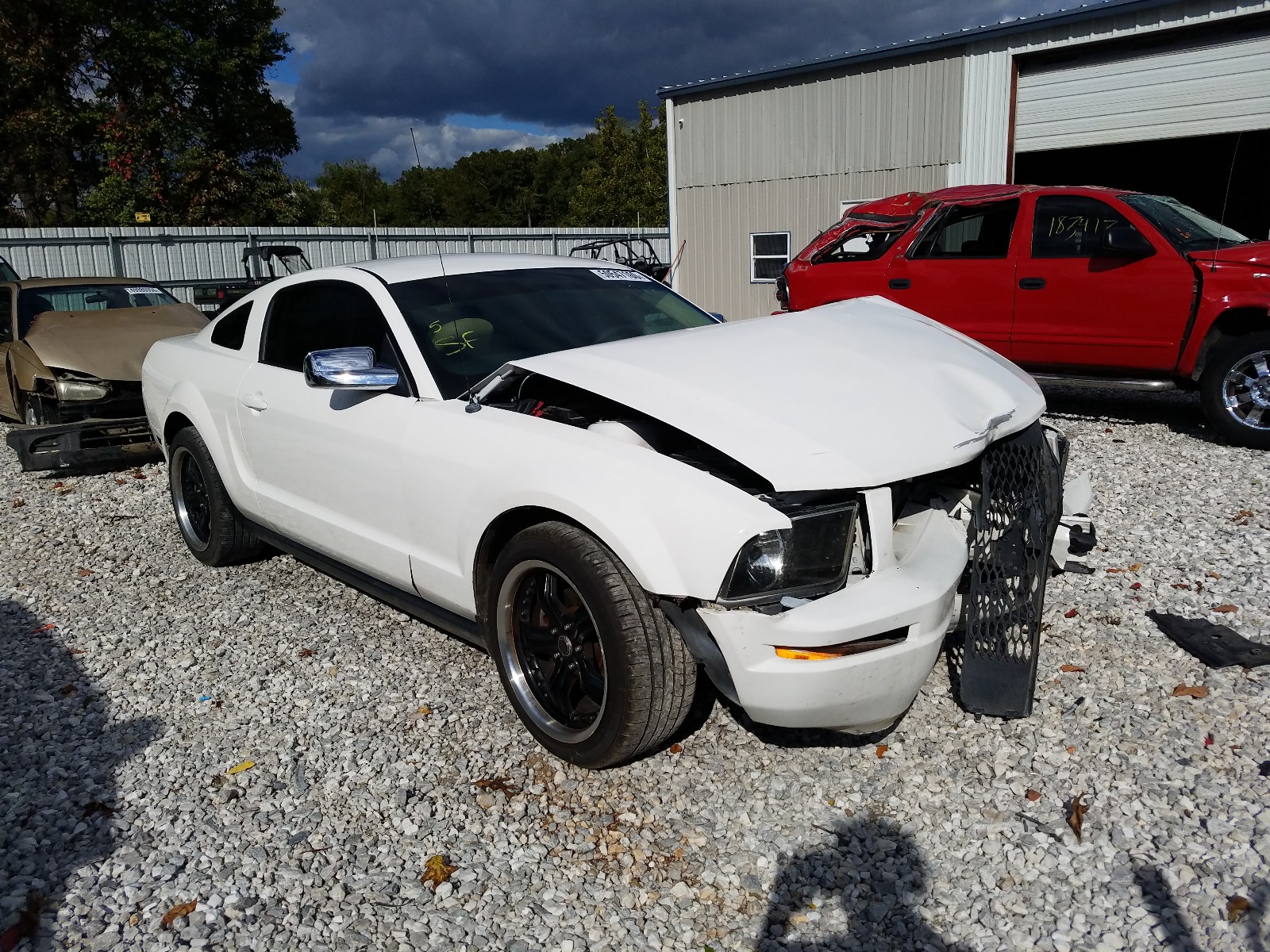 FORD MUSTANG 2005 with VIN 1ZVFT80N055164318 - Photo from auction