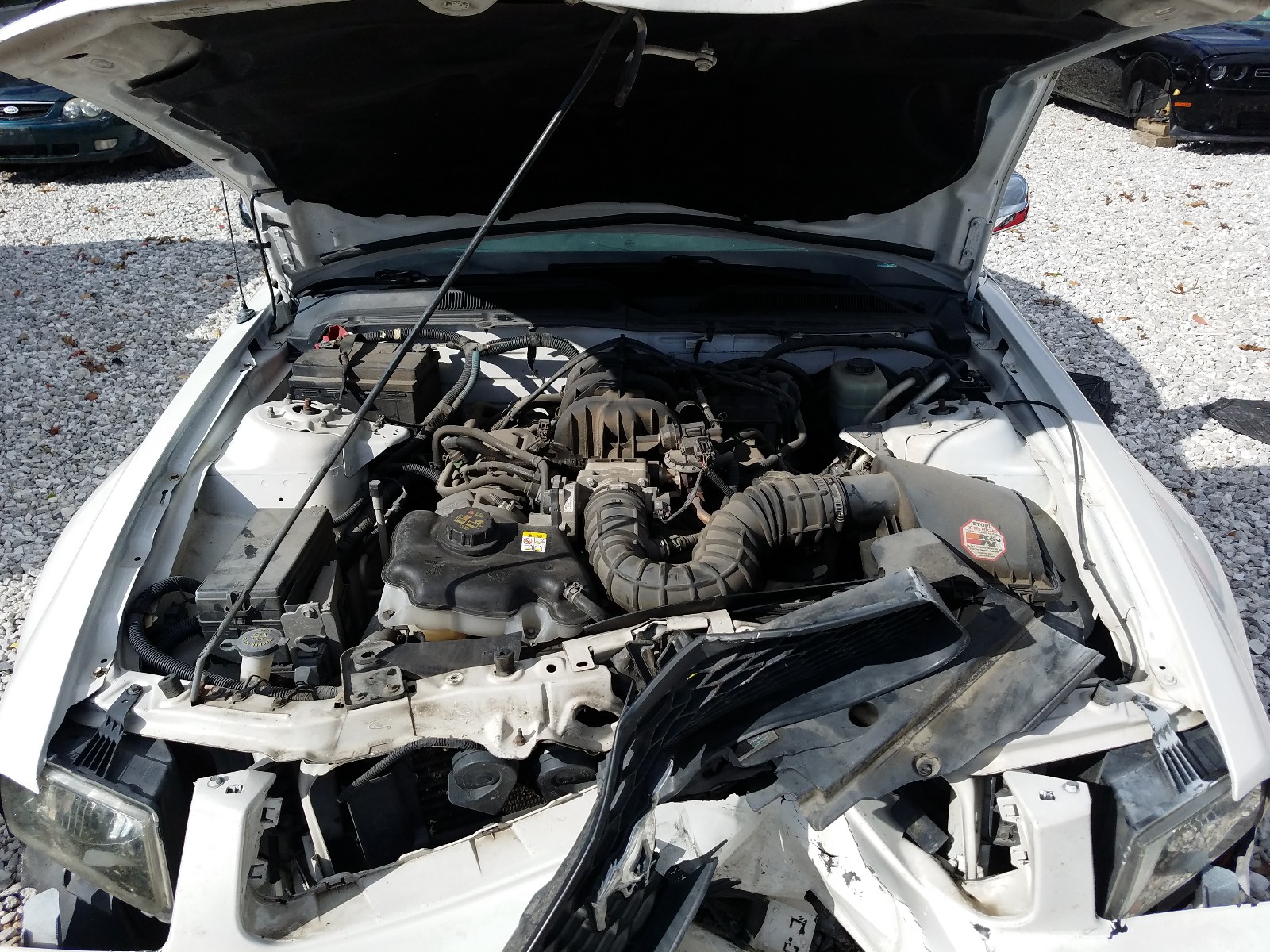 Photo 7 from auction – 2005 FORD MUSTANG with VIN 1ZVFT80N055164318