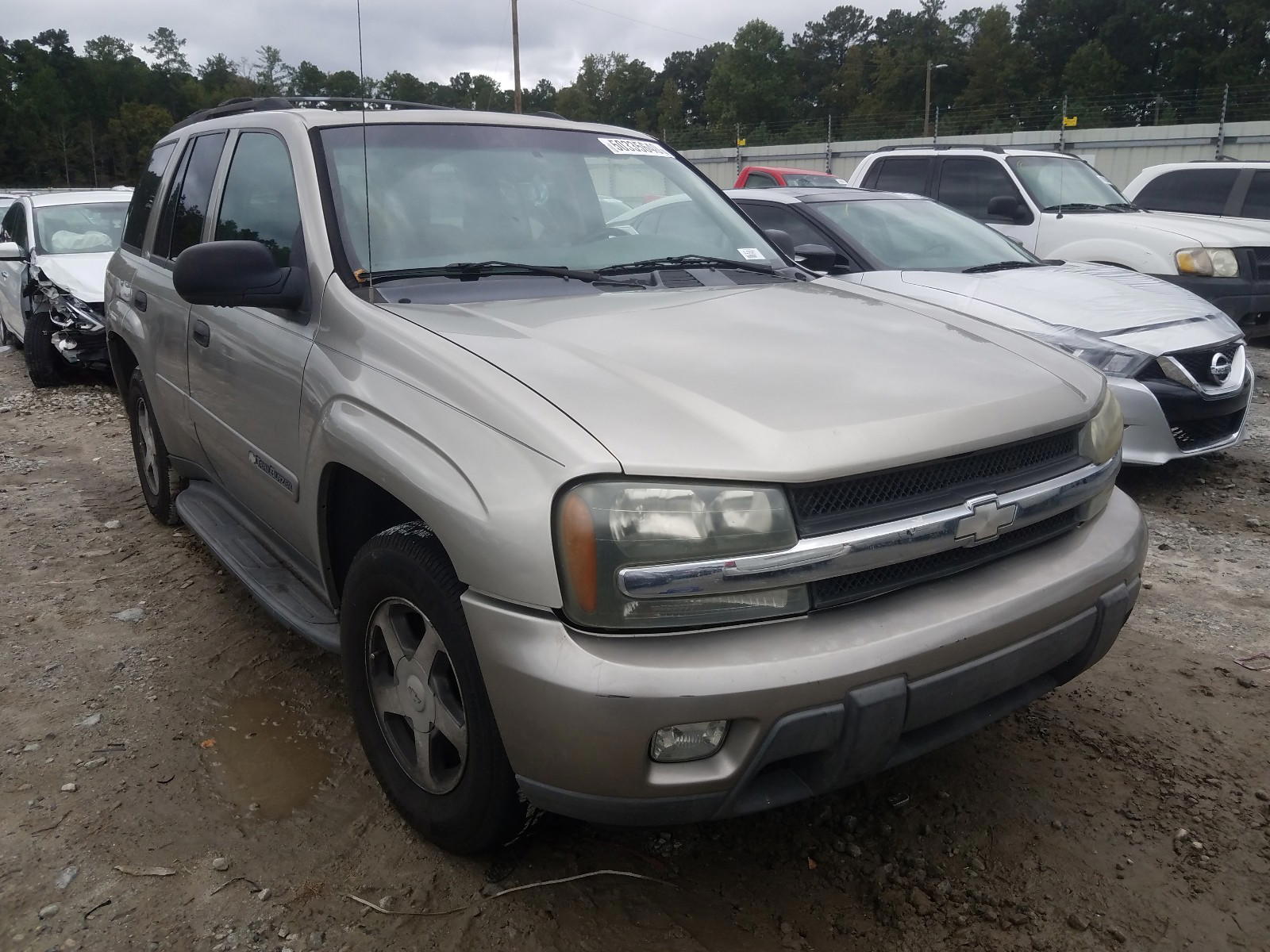 CHEVROLET TRAILBLAZE 2003 with VIN 1GNDS13S032172172 - Photo from auction