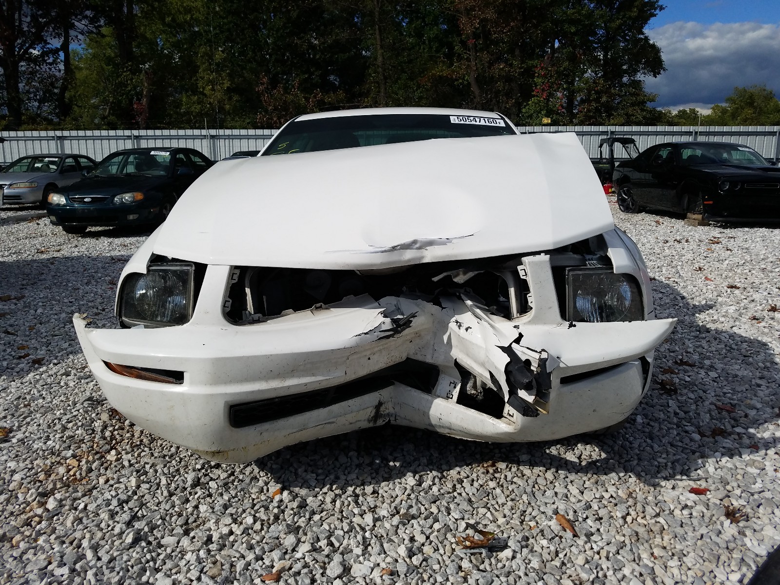 Photo 9 from auction – 2005 FORD MUSTANG with VIN 1ZVFT80N055164318