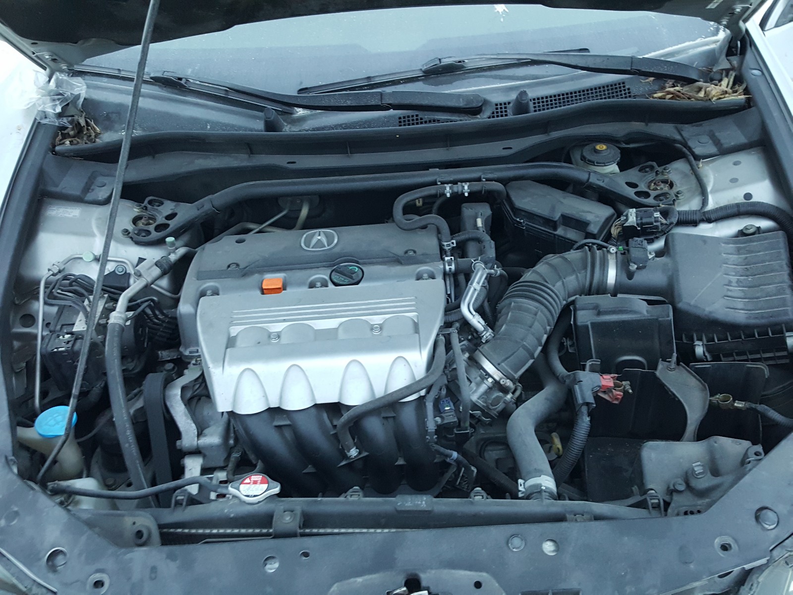 Photo 7 from auction – 2009 ACURA TSX with VIN JH4CU26659C015936