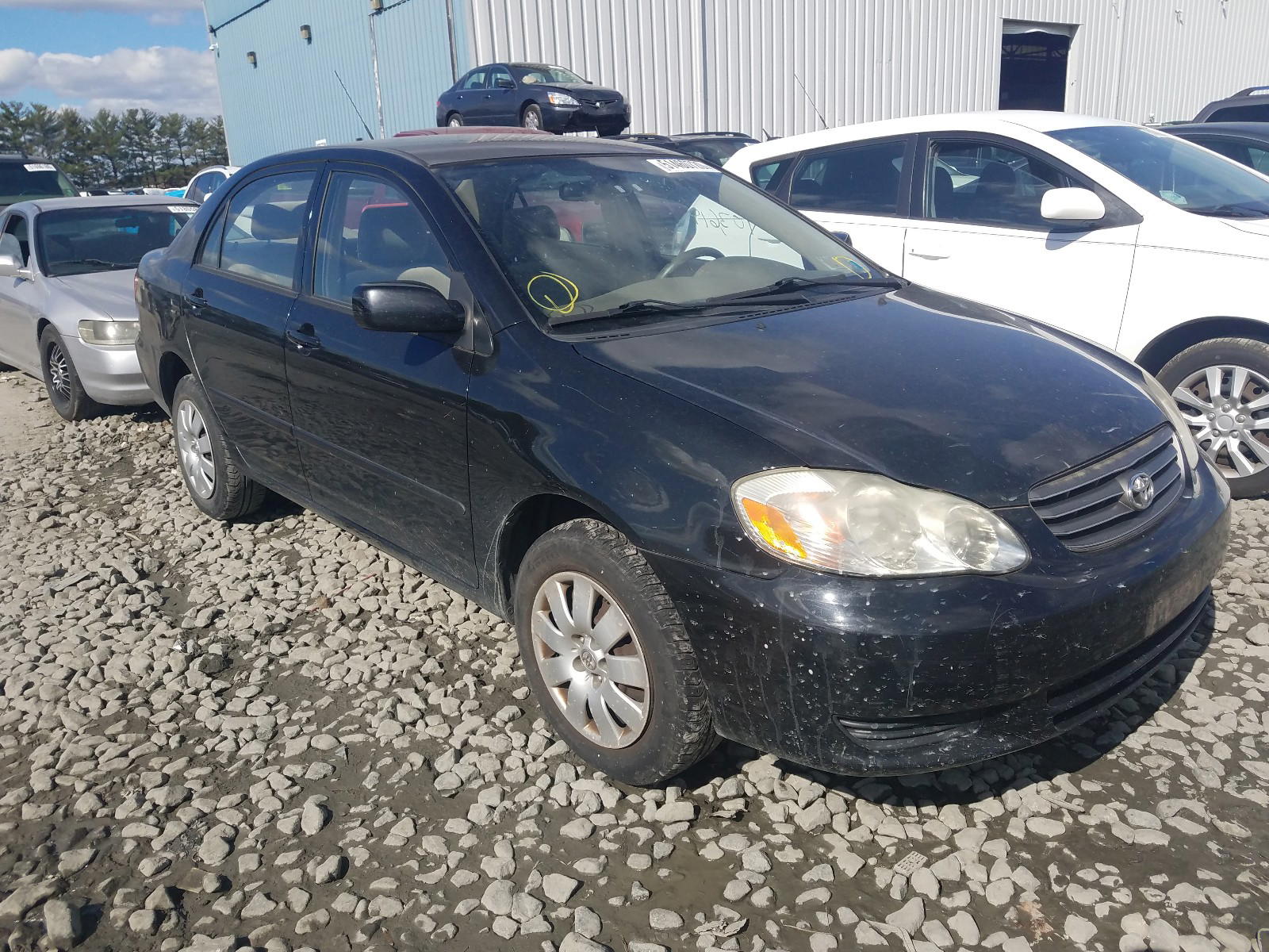 TOYOTA COROLLA CE 2003 with VIN JTDBR32E530038773 - Photo from auction