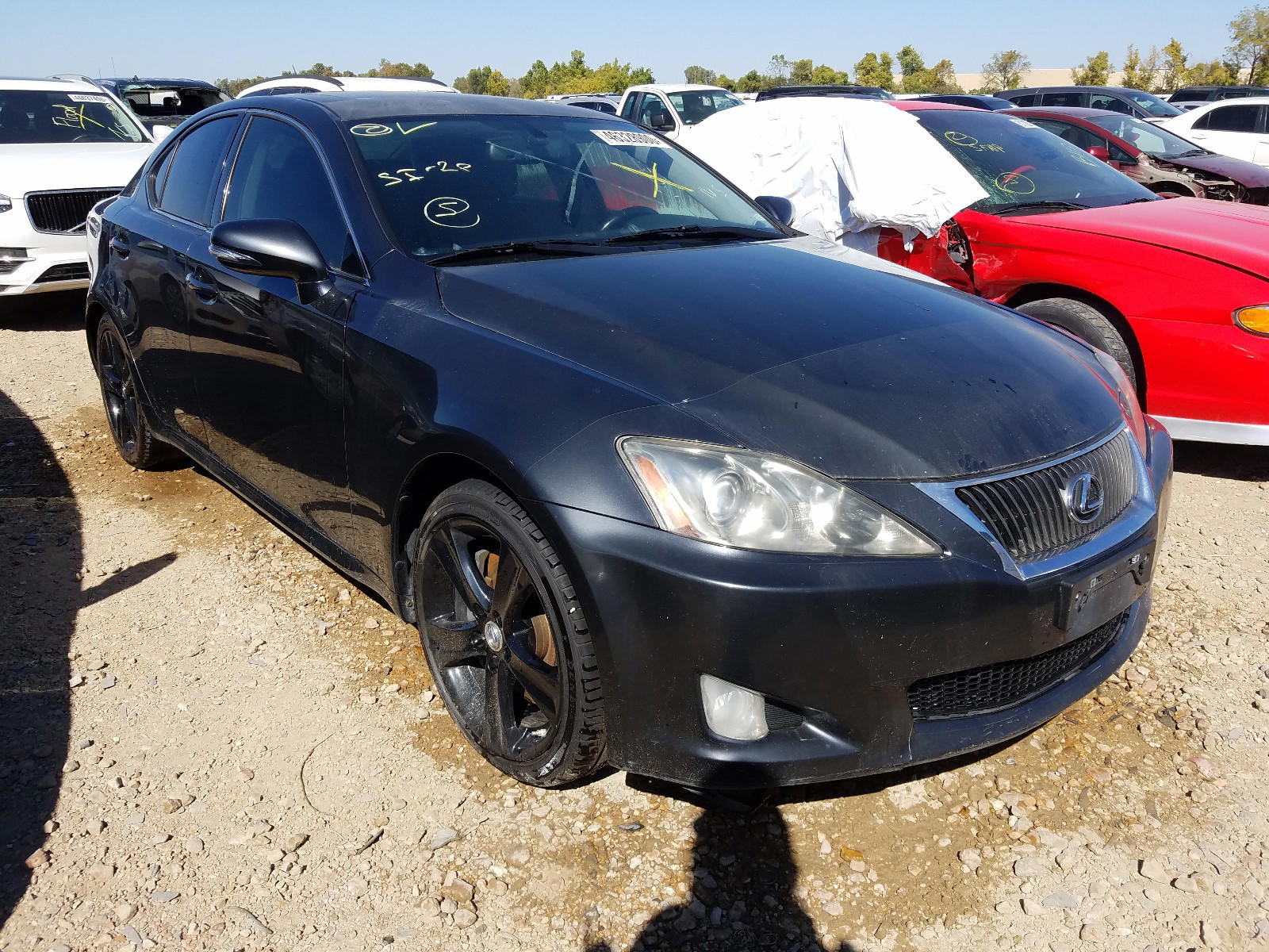 LEXUS IS 350 2009 with VIN JTHBE262995023404 - Photo from auction