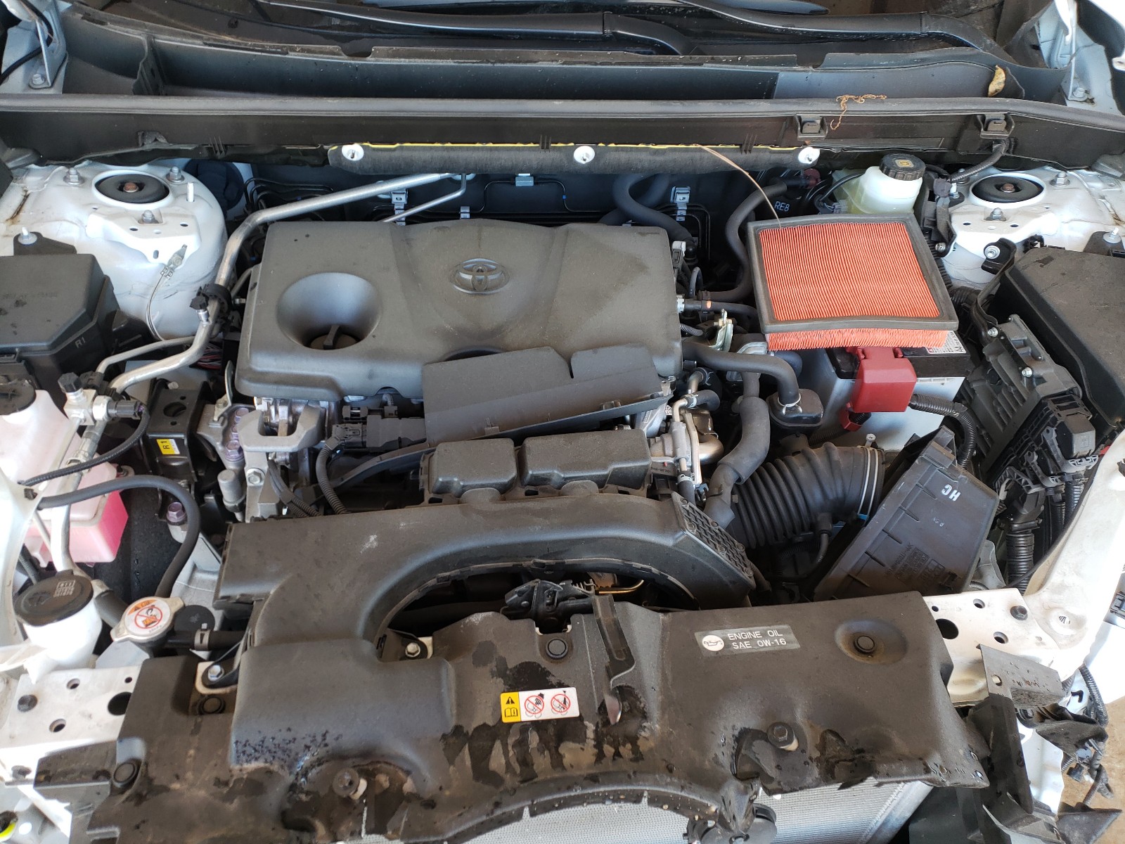 Photo 7 from auction – 2019 TOYOTA RAV4 XLE with VIN JTMW1RFV3KD002612