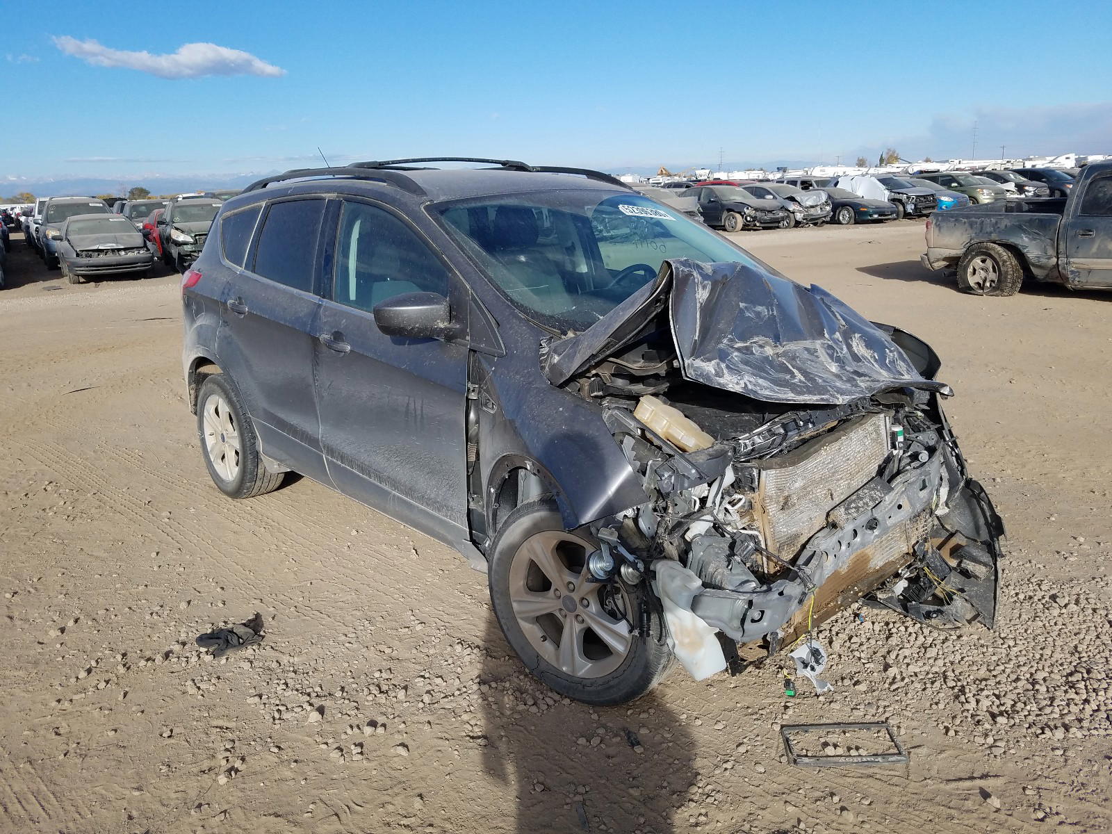 Photo 11 from auction – 2014 FORD ESCAPE SE with VIN 1FMCU0G90EUD01823