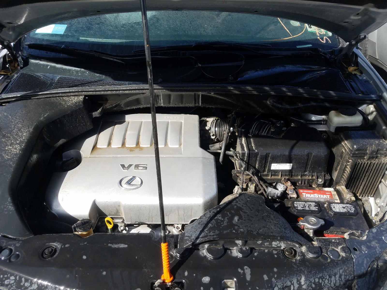 Photo 7 from auction – 2009 LEXUS RX 350 with VIN 2T2GK31U59C076341