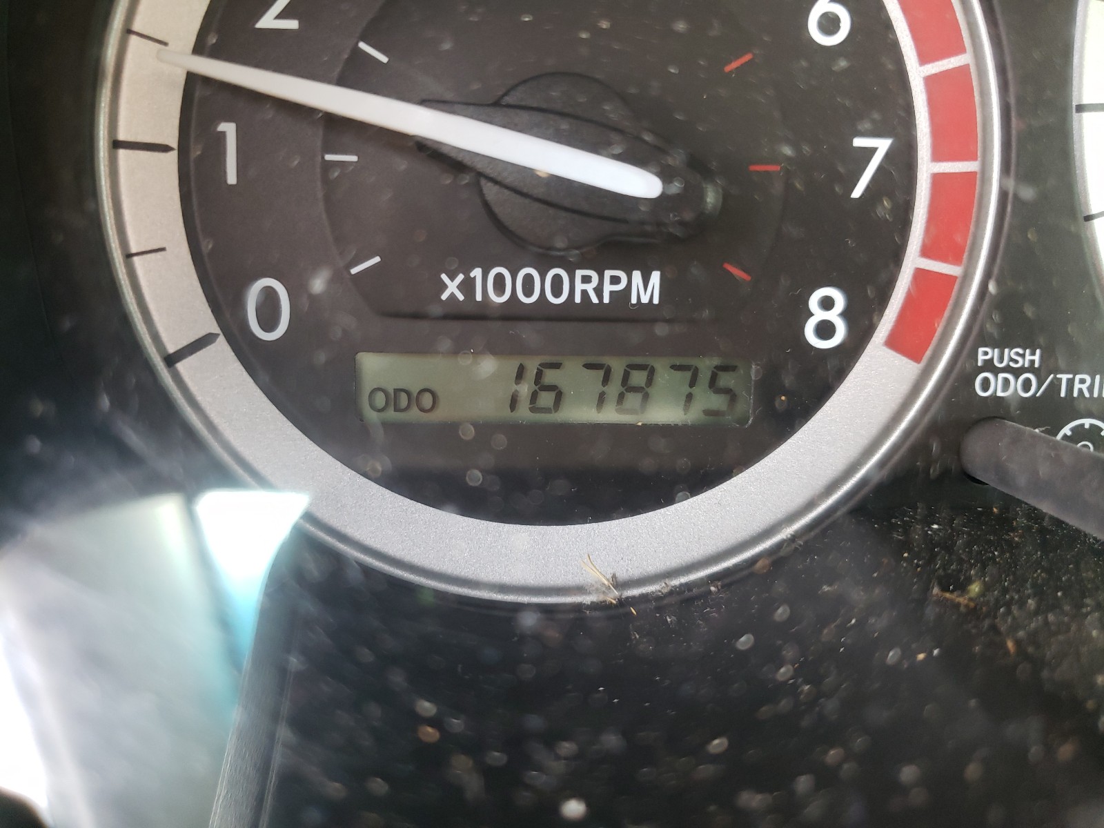 Photo 8 from auction – 2005 TOYOTA SIENNA CE with VIN 5TDZA23C45S244132