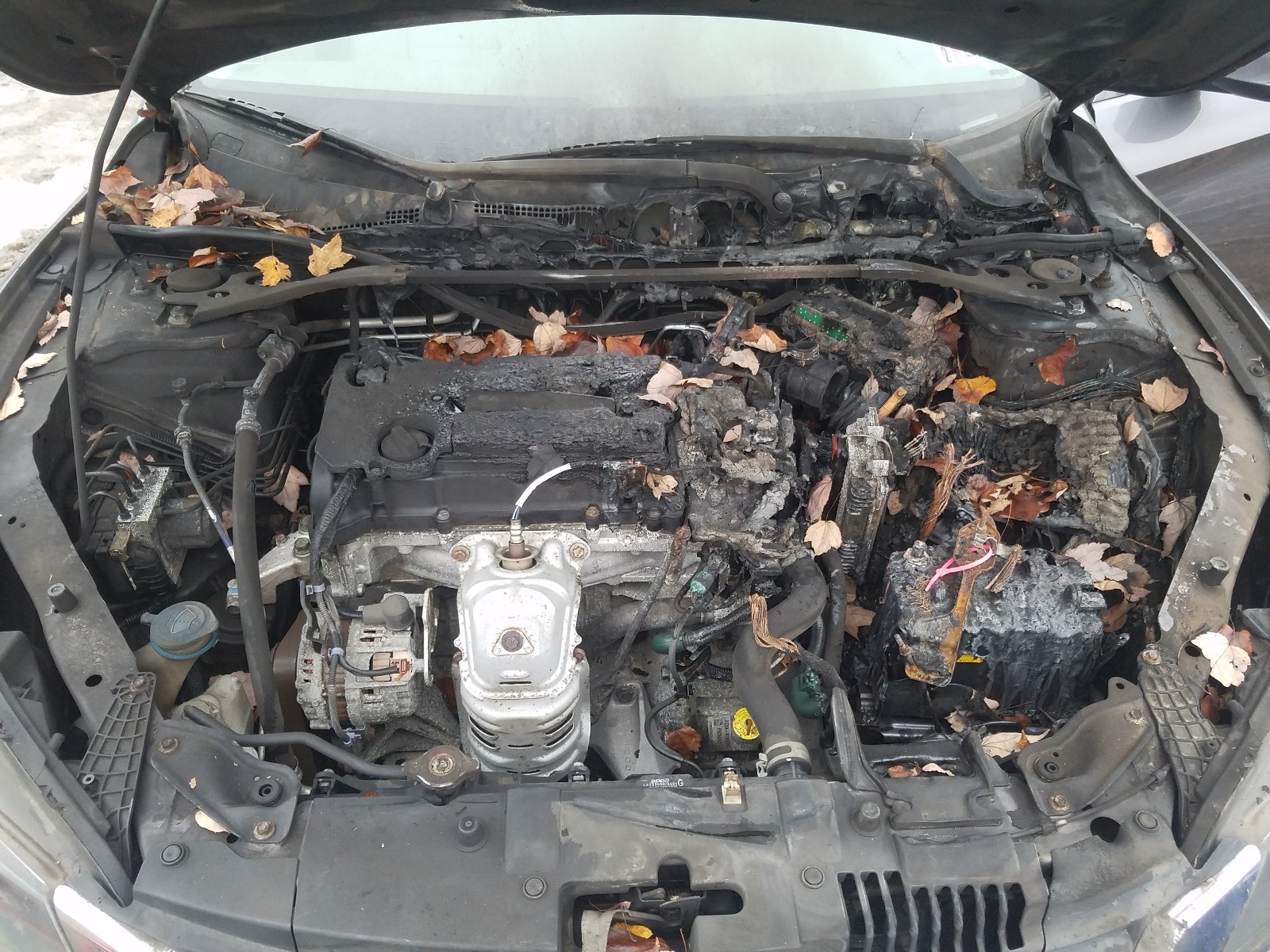 Photo 7 from auction – 2015 HONDA ACCORD EXL with VIN 1HGCR2F80FA096339