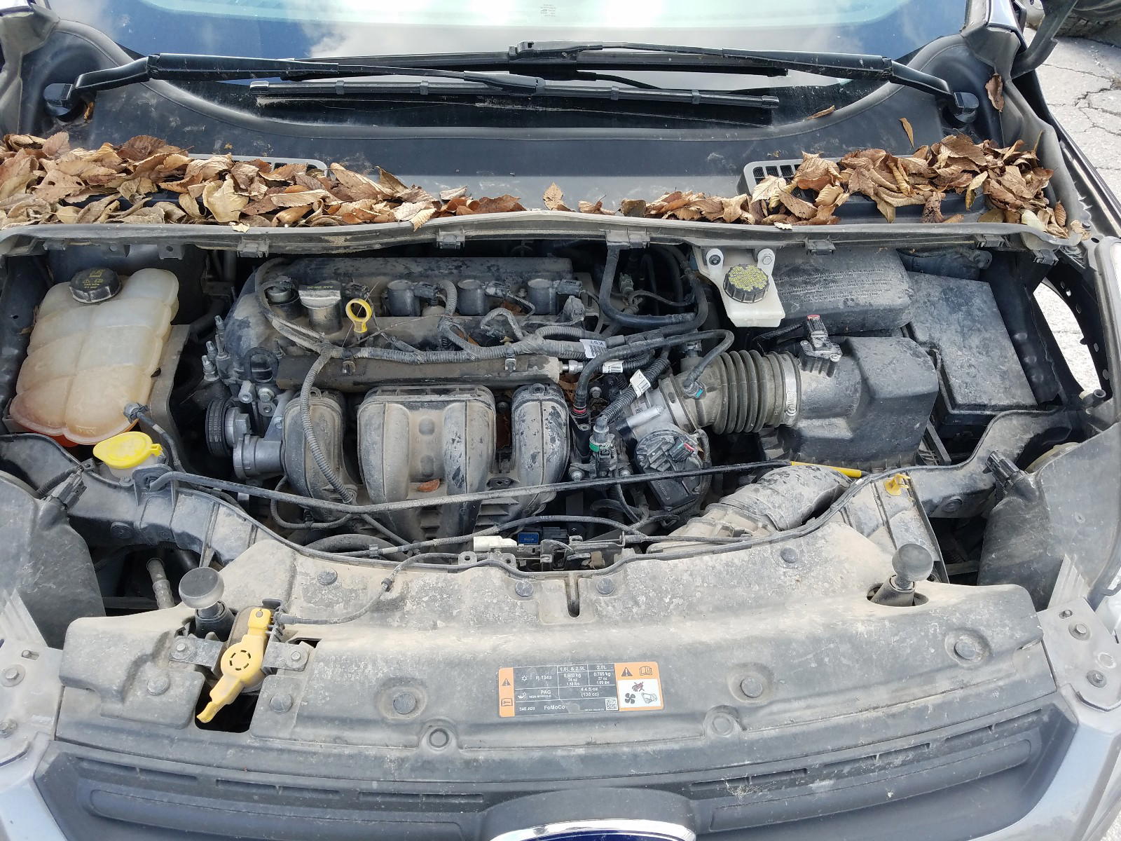 Photo 7 from auction – 2014 FORD ESCAPE S with VIN 1FMCU0F70EUB46089