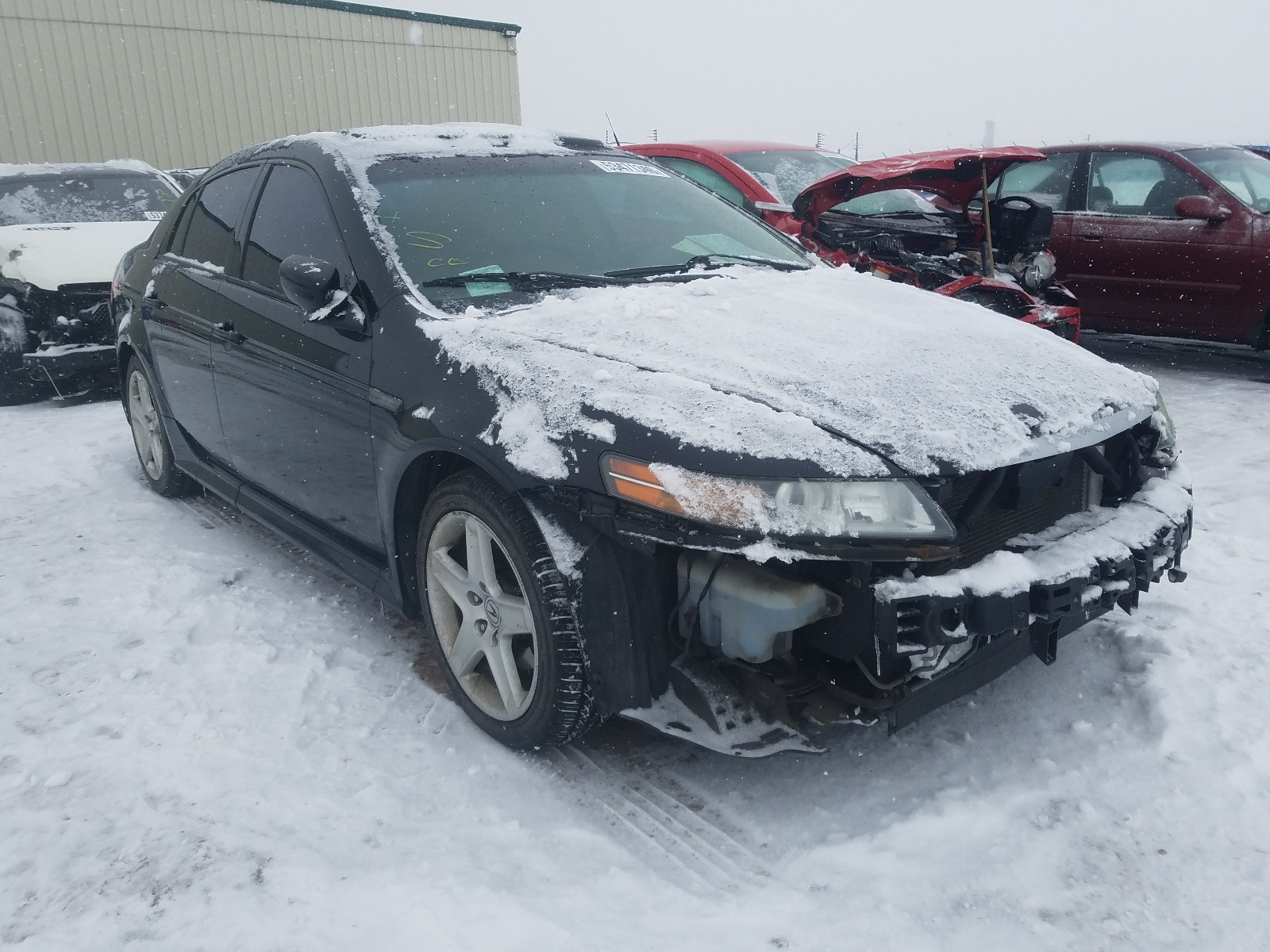 ACURA TL 2004 with VIN 19UUA66294A801134 - Photo from auction