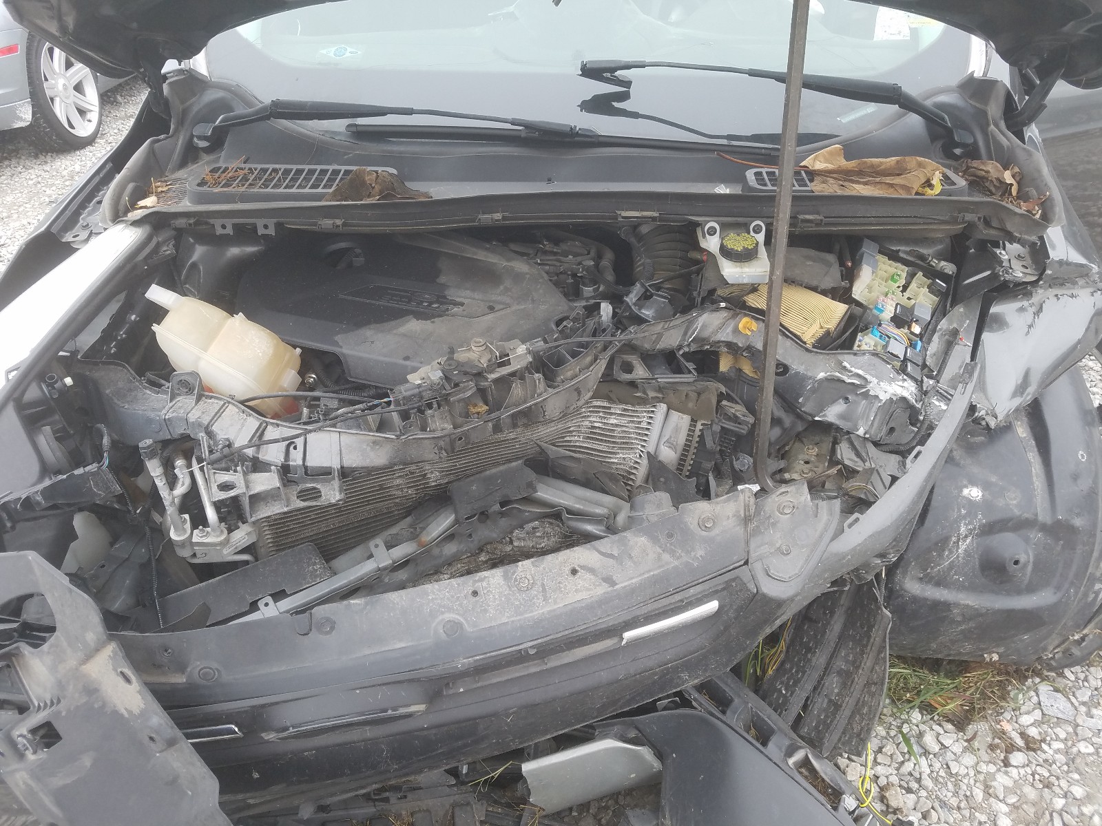 Photo 7 from auction – 2015 FORD ESCAPE SE with VIN 1FMCU0GX8FUA66216