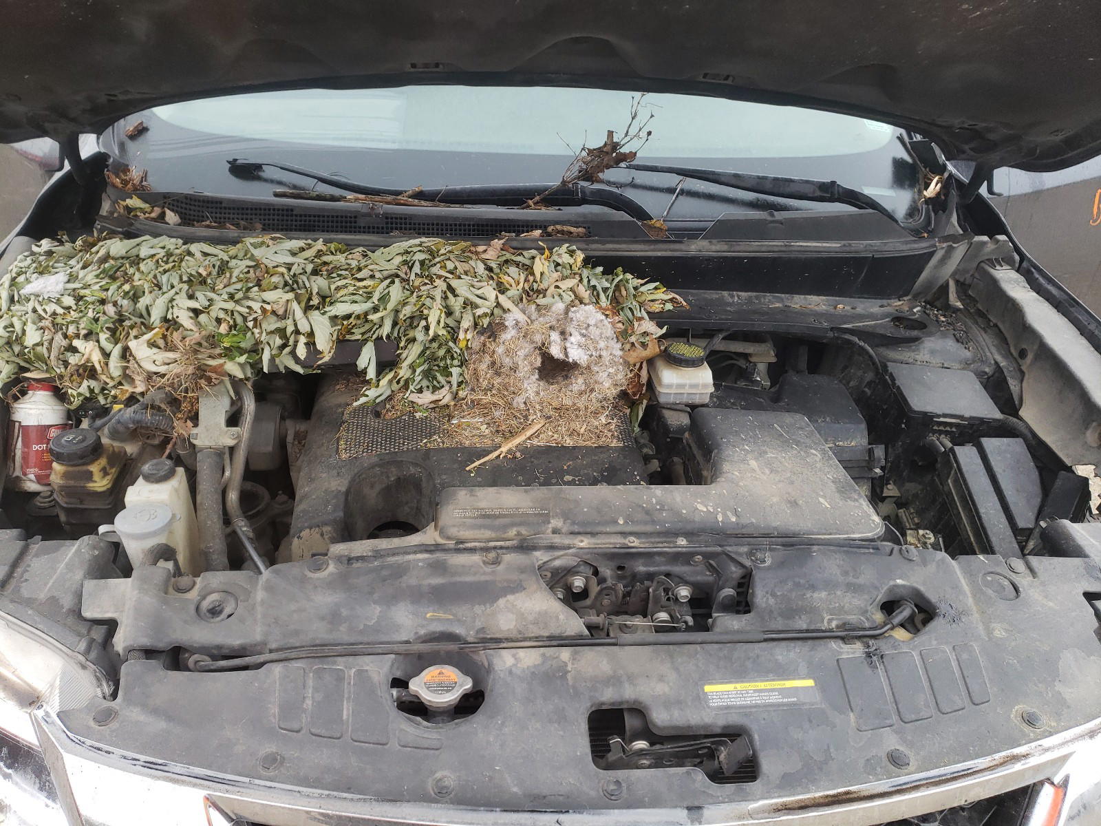 Photo 7 from auction – 2014 NISSAN PATHFINDER with VIN 5N1AR2MM0EC622893