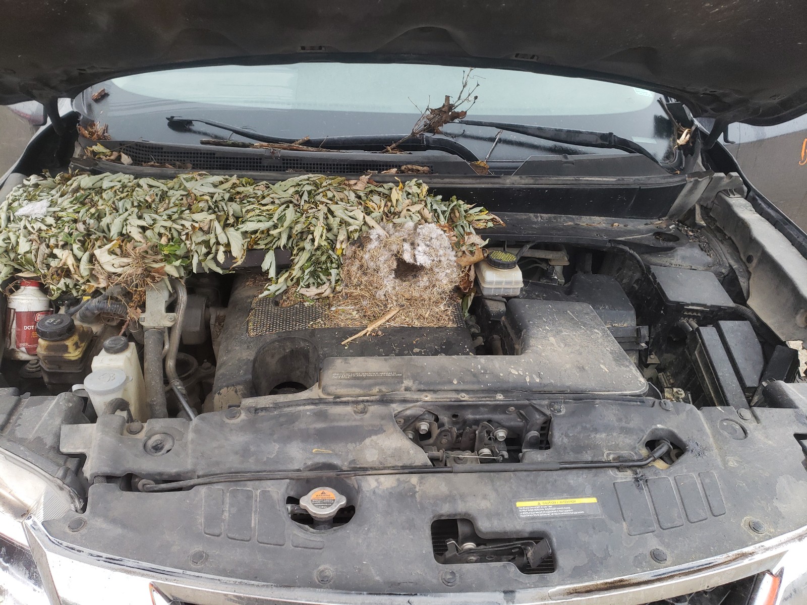 صورة رقم 7 من المزاد - 2014 NISSAN PATHFINDER مع VIN 5N1AR2MM0EC622893