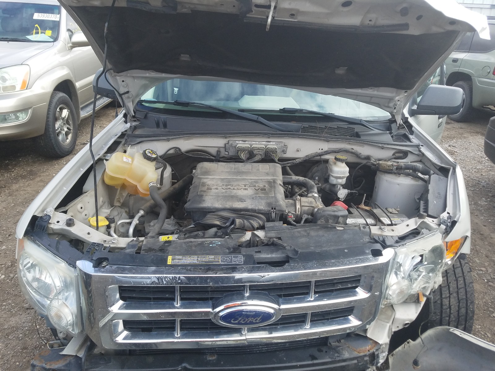 Photo 7 from auction – 2009 FORD ESCAPE XLT with VIN 1FMCU03G29KA64032