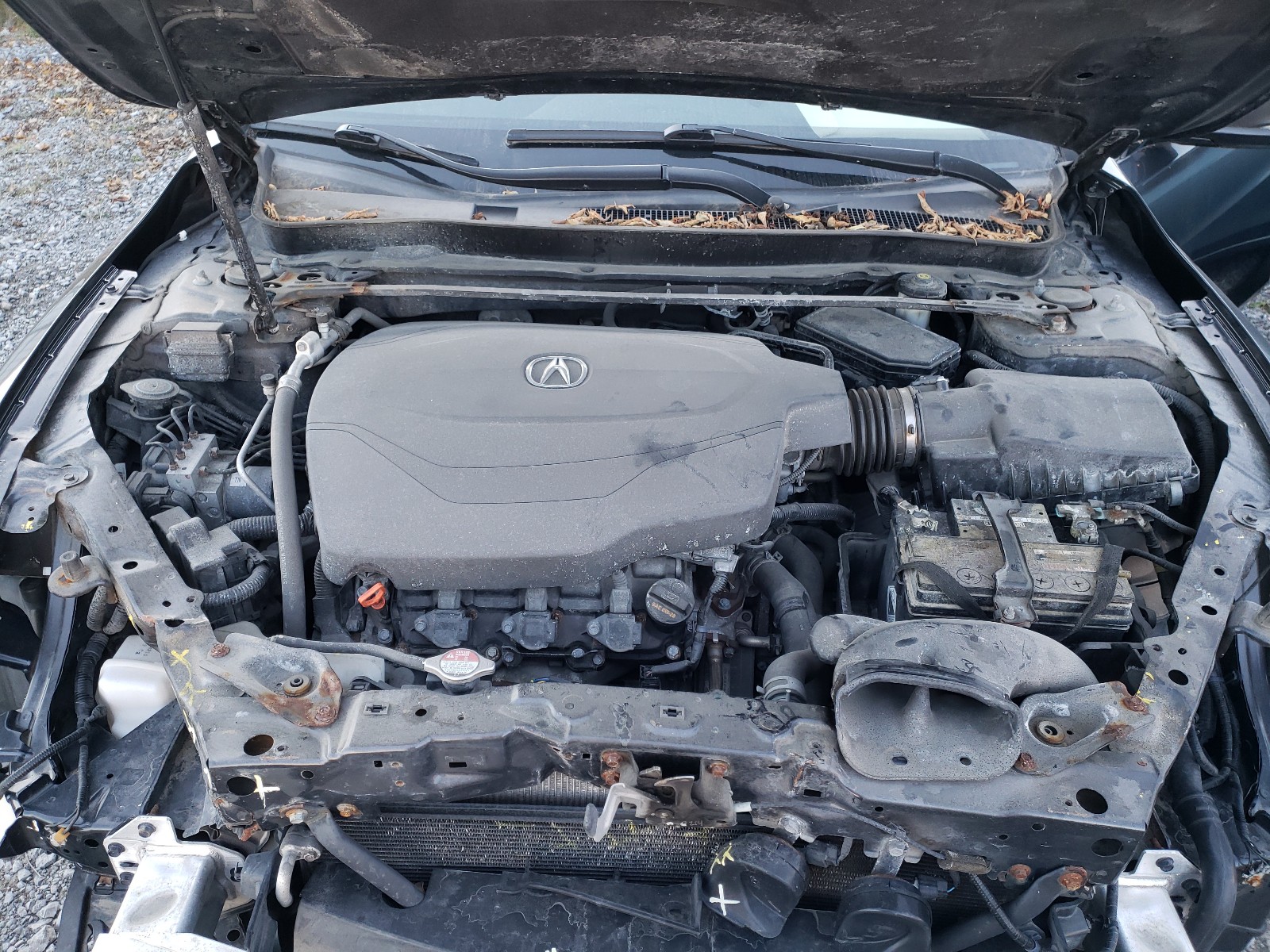 Photo 7 from auction – 2015 ACURA TLX TECH with VIN 19UUB3F56FA800094