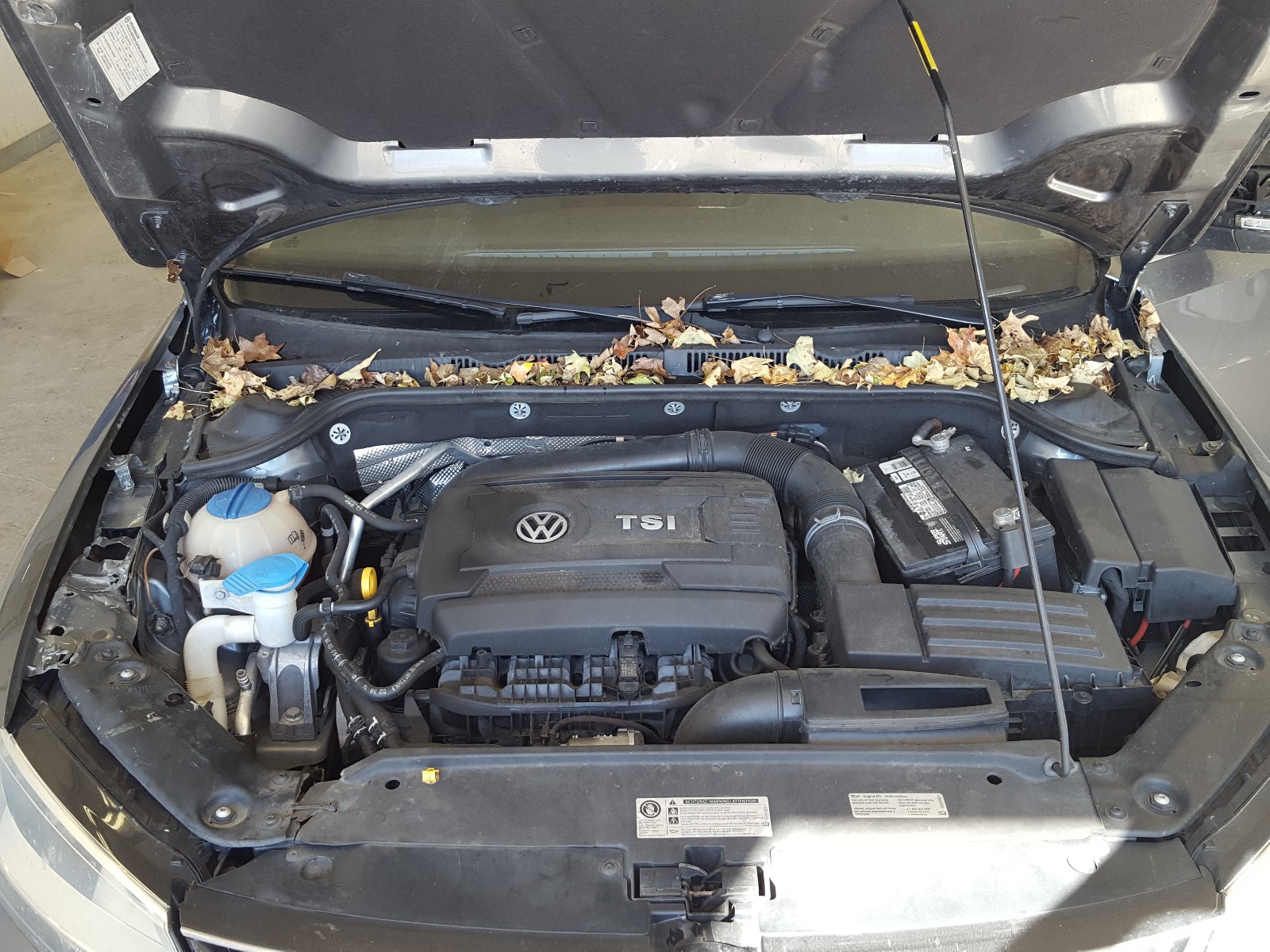 Photo 7 from auction – 2015 VOLKSWAGEN JETTA with VIN 3VWD07AJ4FM287458