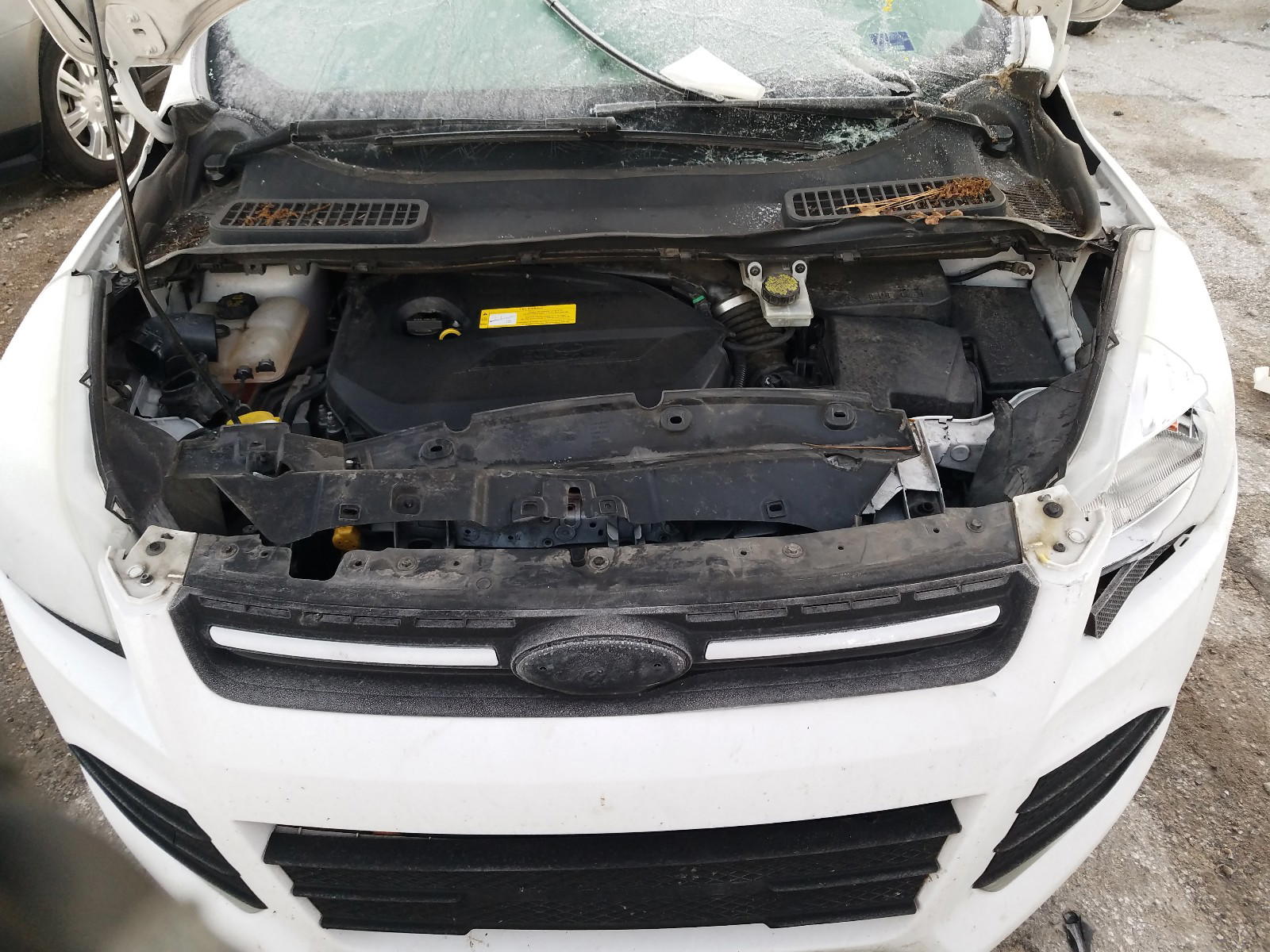 Photo 7 from auction – 2015 FORD ESCAPE SE with VIN 1FMCU0GX2FUC41740