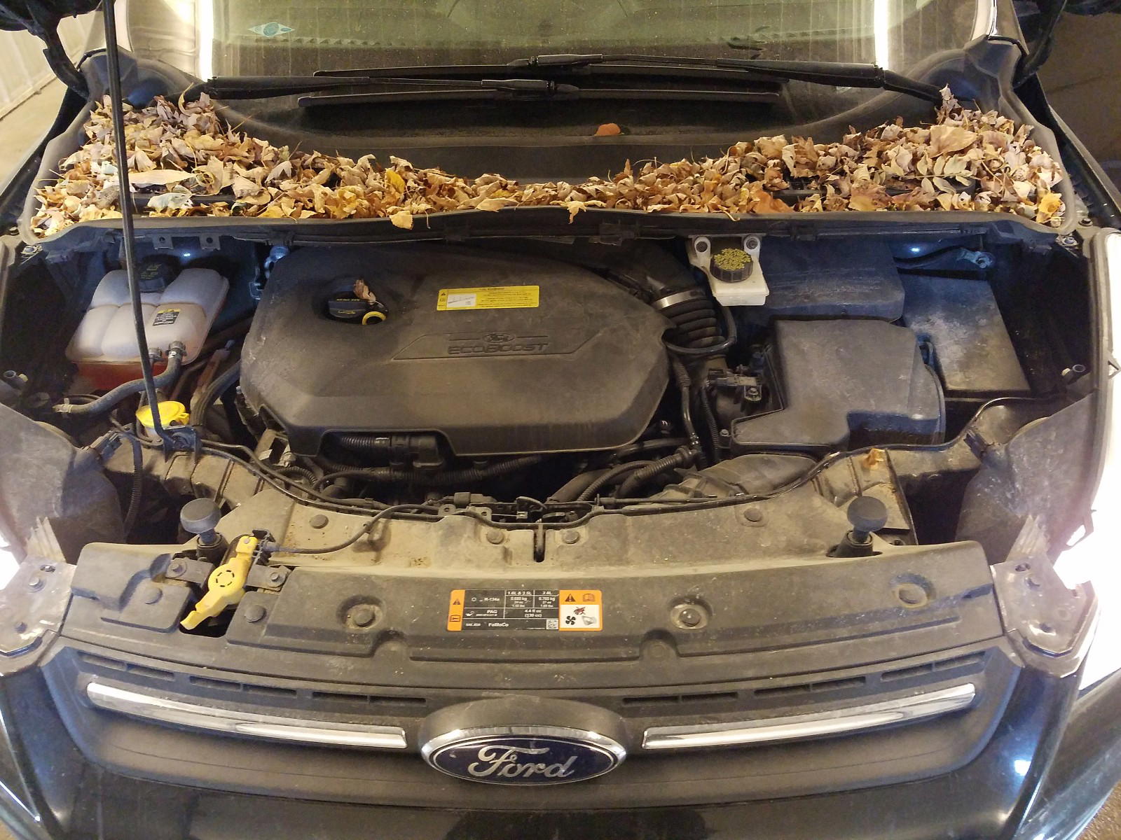 Photo 7 from auction – 2013 FORD ESCAPE SE with VIN 1FMCU9GX3DUD09030