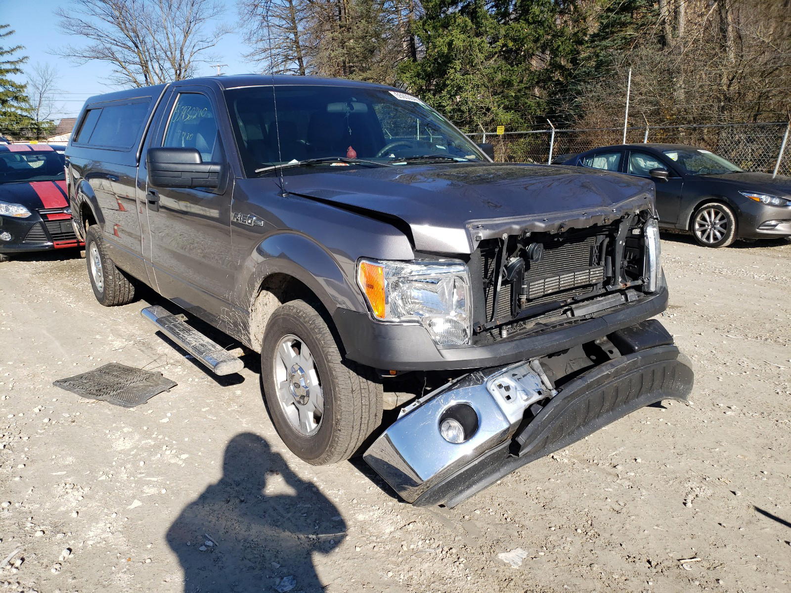 FORD F150 2014 with VIN 1FTMF1CM1EKD43447 - Photo from auction