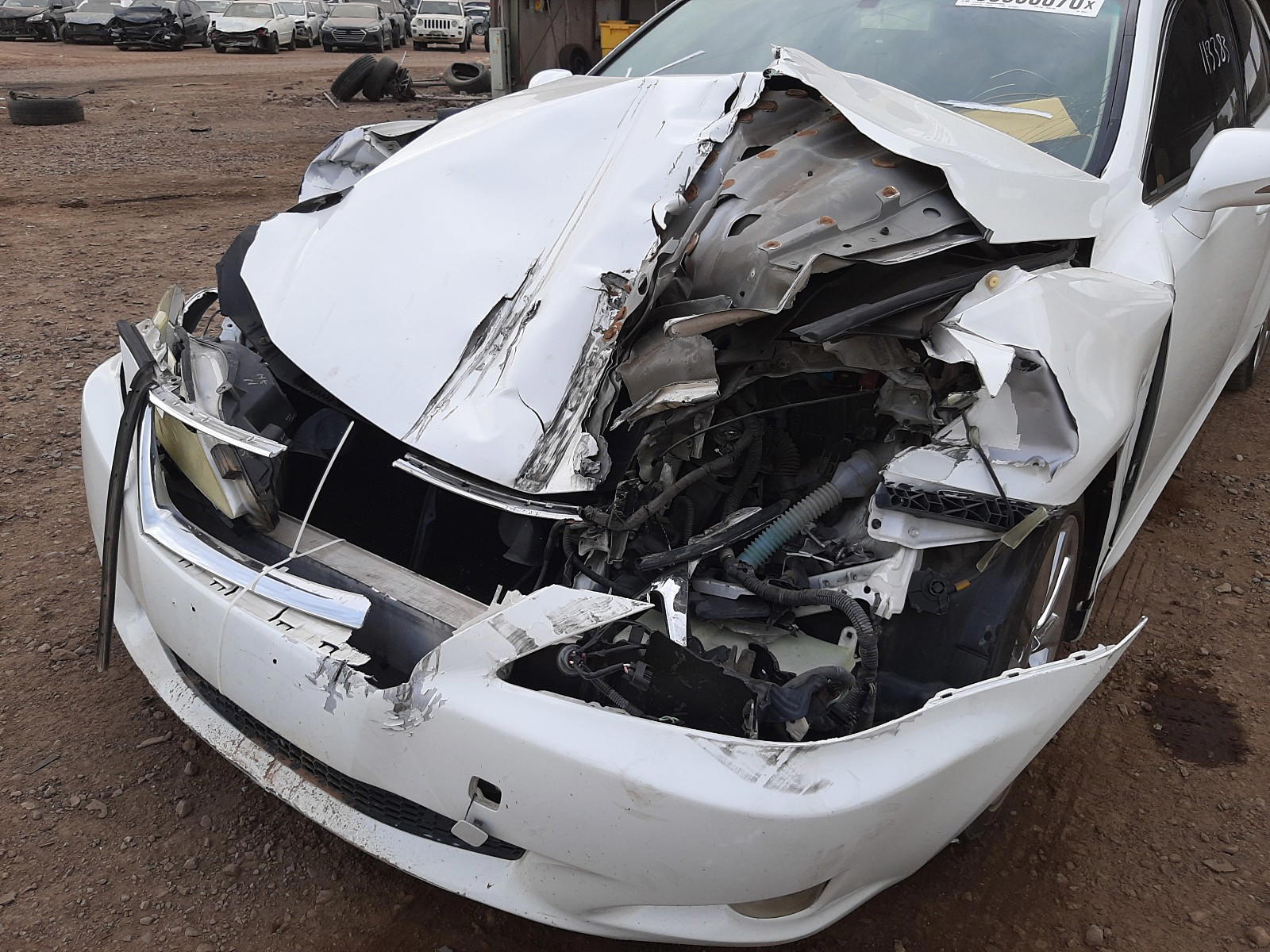 Photo 9 from auction – 2009 LEXUS IS 250 with VIN JTHBK262795091922