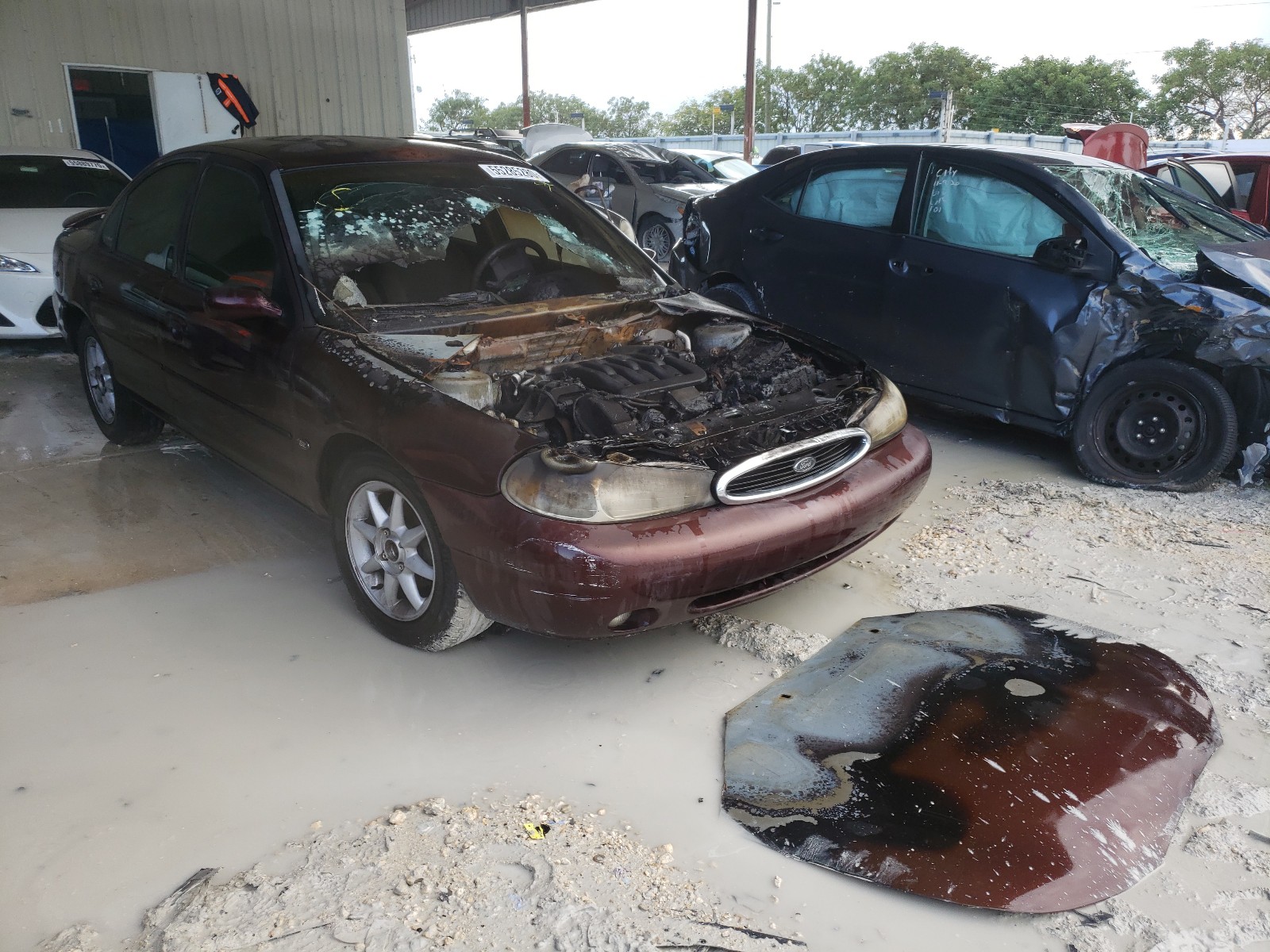 FORD CONTOUR SE 2000 with VIN 1FAFP66L0YK137469 - Photo from auction