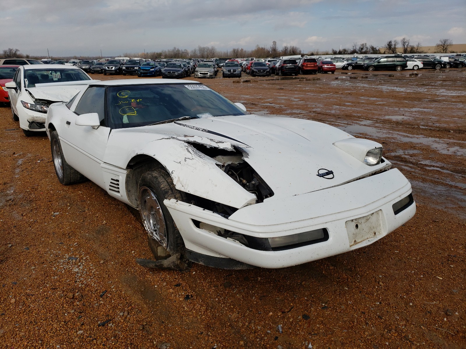 CHEVROLET CORVETTE 1995 with VIN 1G1YY22P7S5117333 - Photo from auction