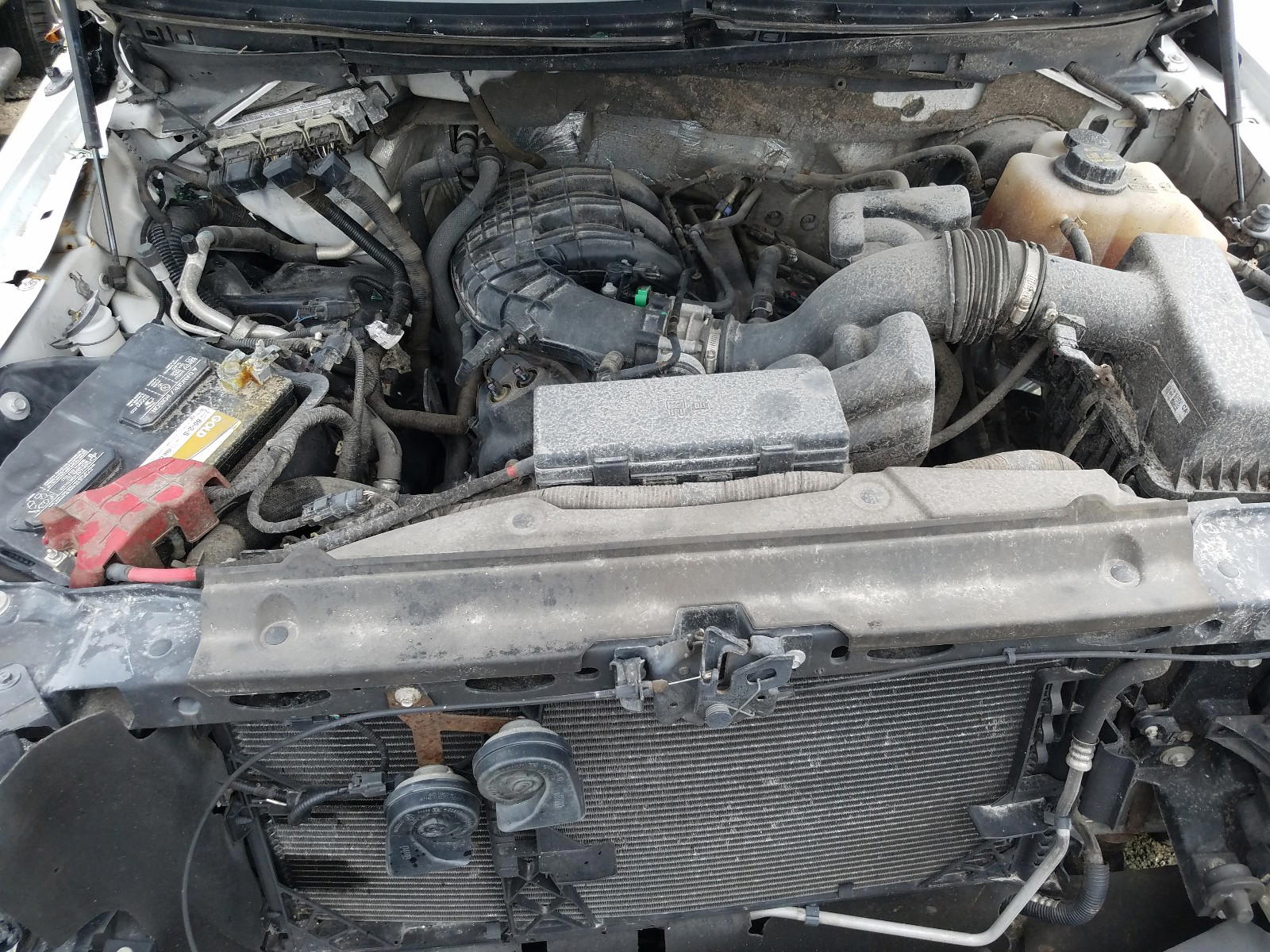 Photo 7 from auction – 2012 FORD F150 with VIN 1FTMF1CM2CFA10020