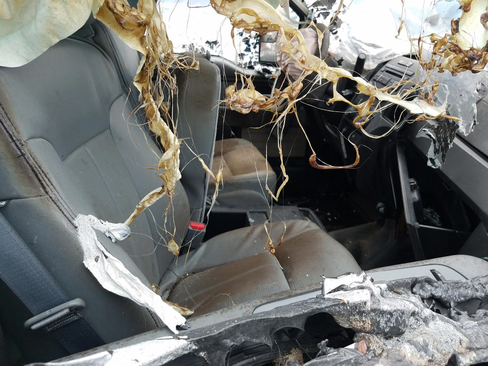 Photo 5 from auction – 2012 FORD F150 with VIN 1FTMF1CM2CFA10020