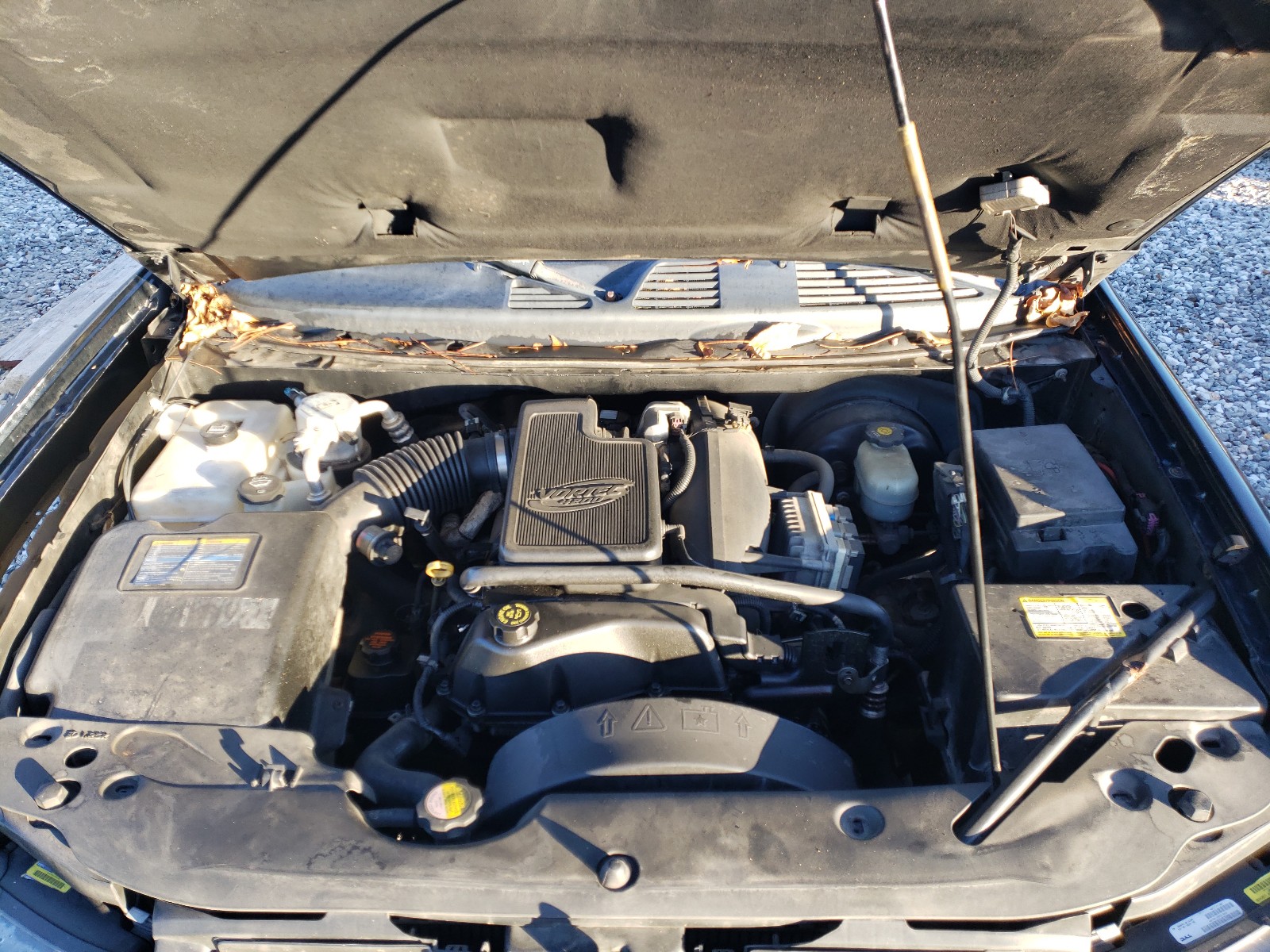 Photo 7 from auction – 2002 CHEVROLET TRAILBLAZE with VIN 1GNDT13S122425219